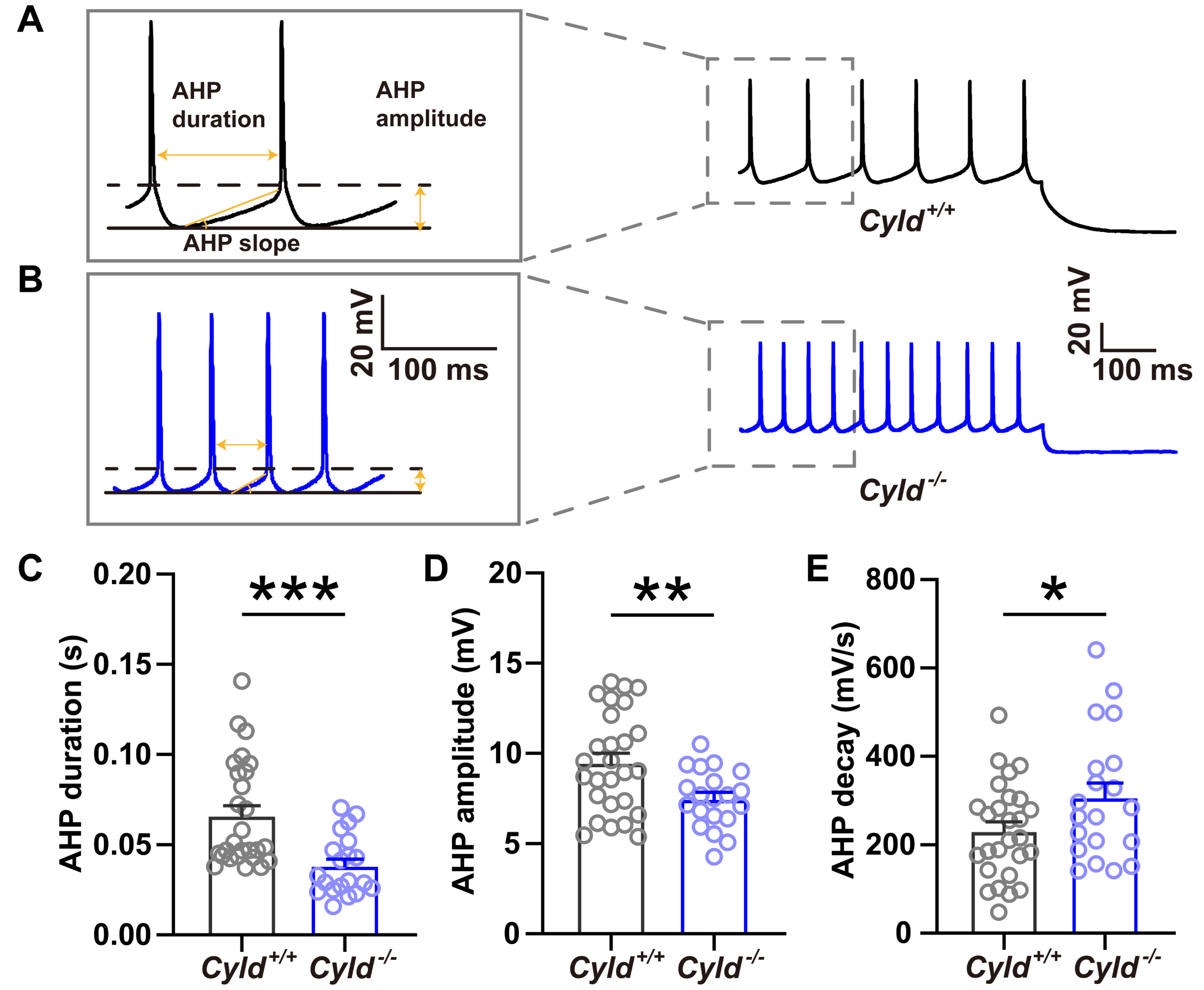 Molecules 28 04092 g006