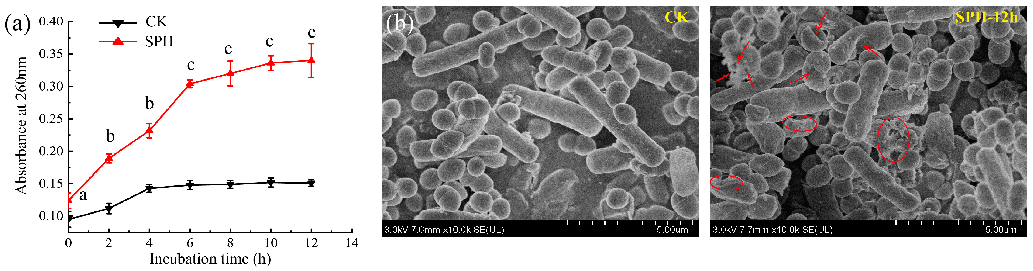 Molecules 28 04105 g004