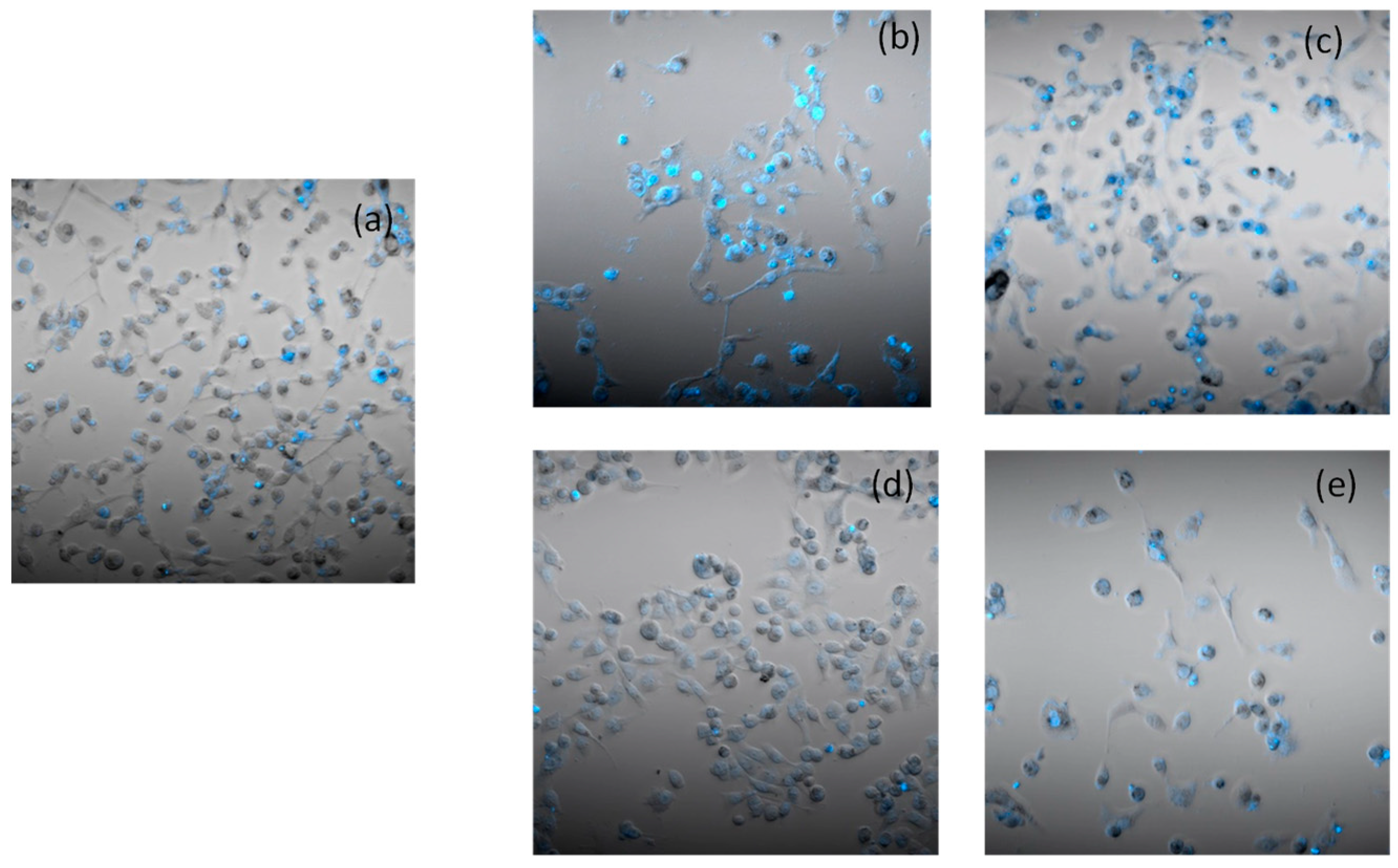 Molecules 28 04112 g006