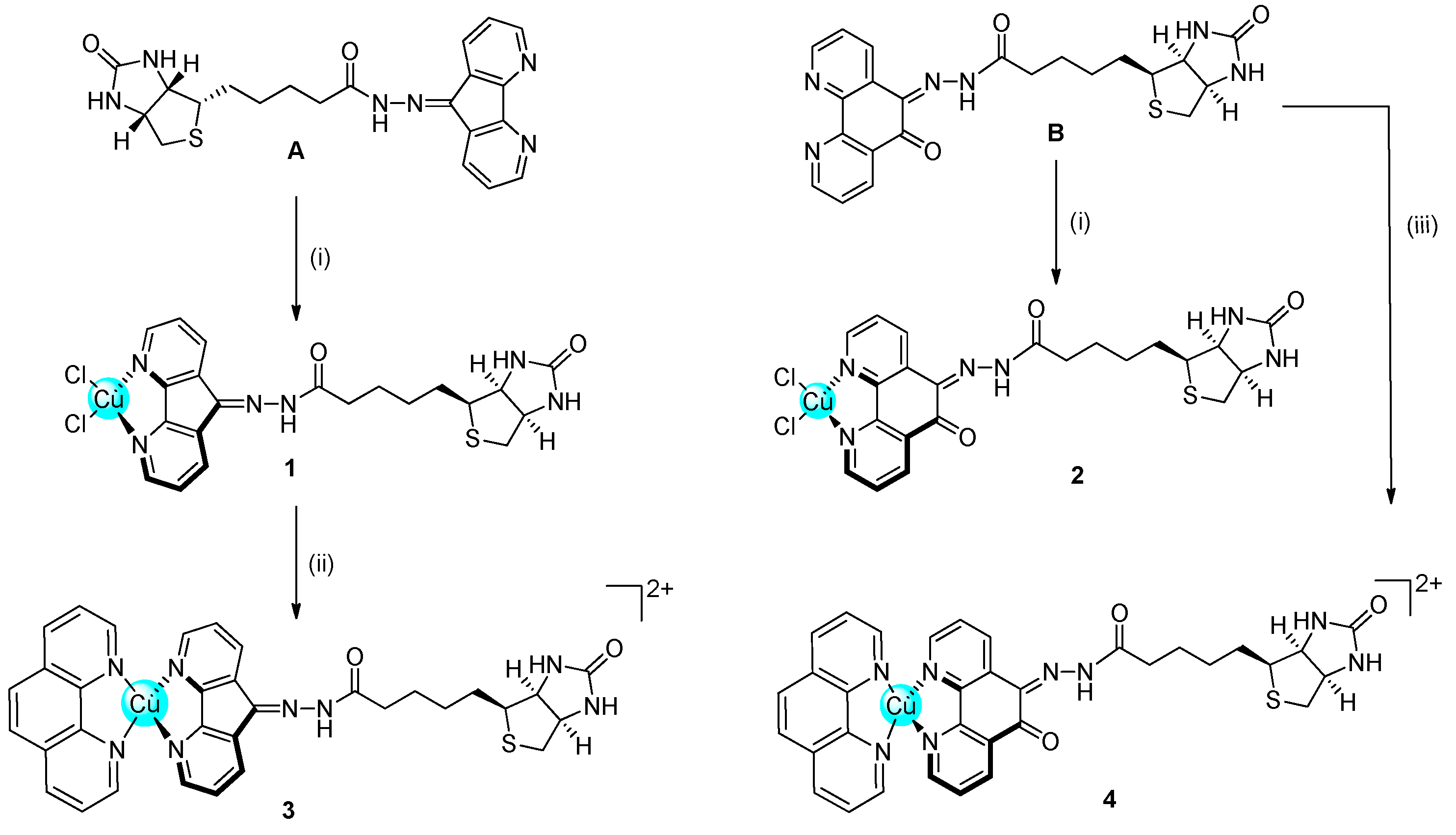 Molecules 28 04112 sch001