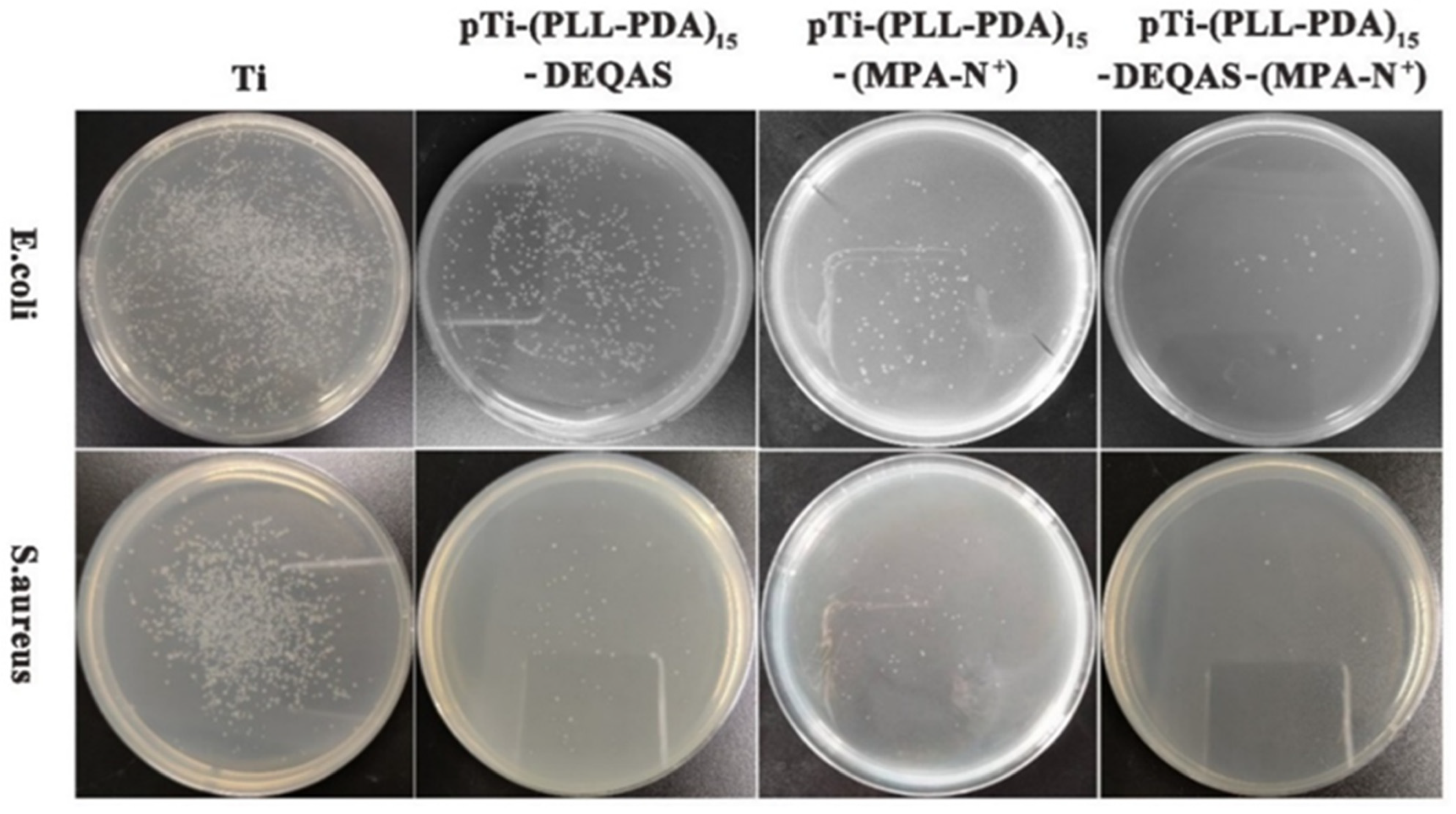 Molecules 28 04120 g007 Molecules 28 04120 g007