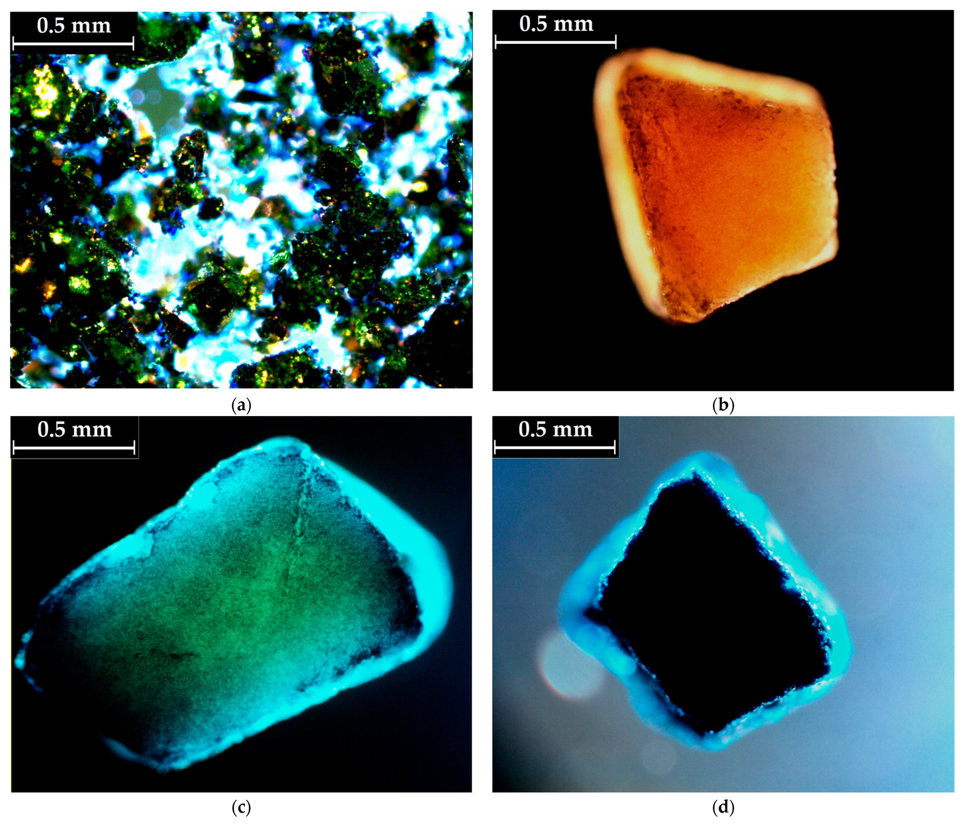 Molecules 28 04129 g003 Molecules 28 04129 g003