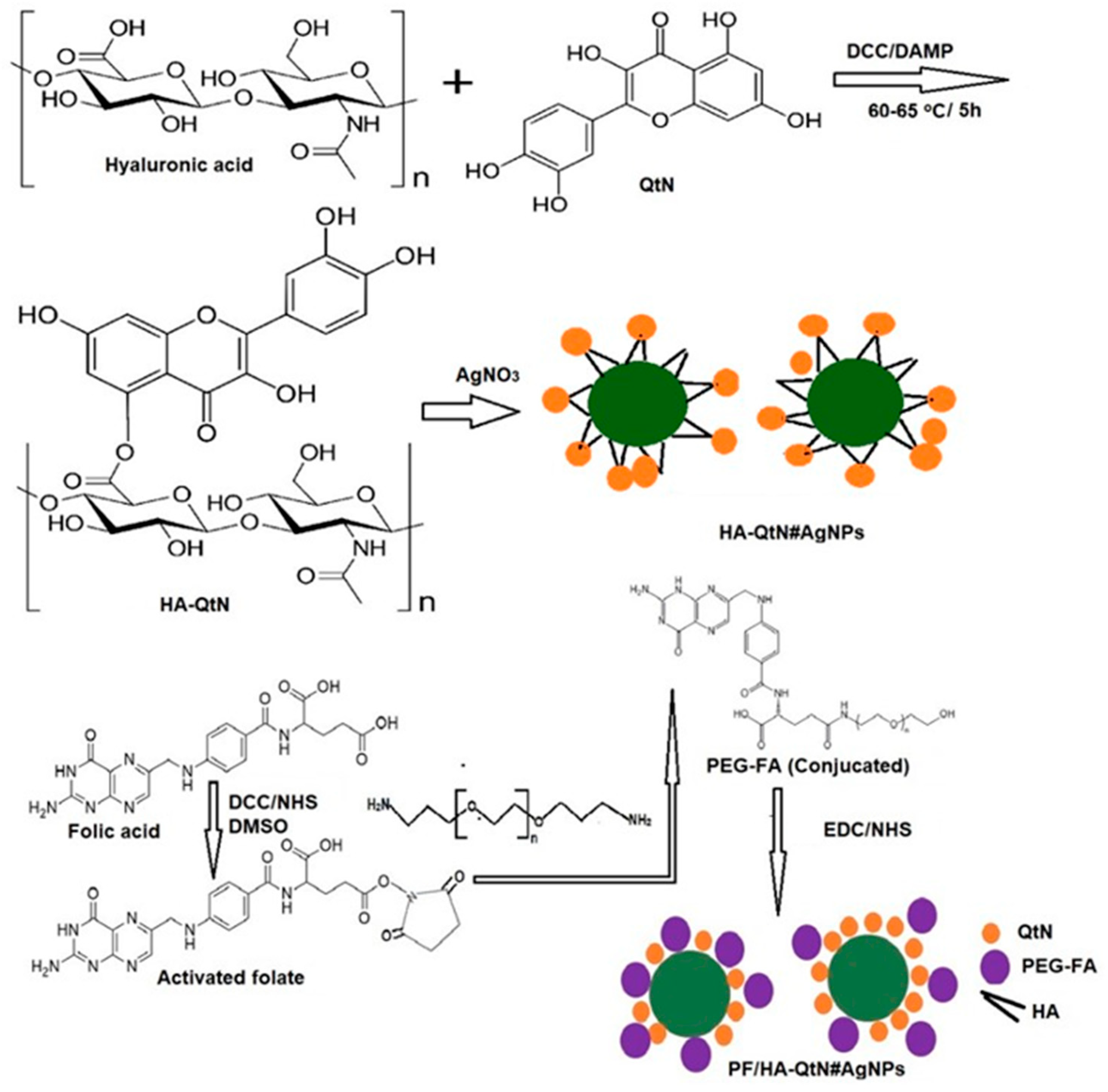Molecules 28 04146 g001 Molecules 28 04146 g001