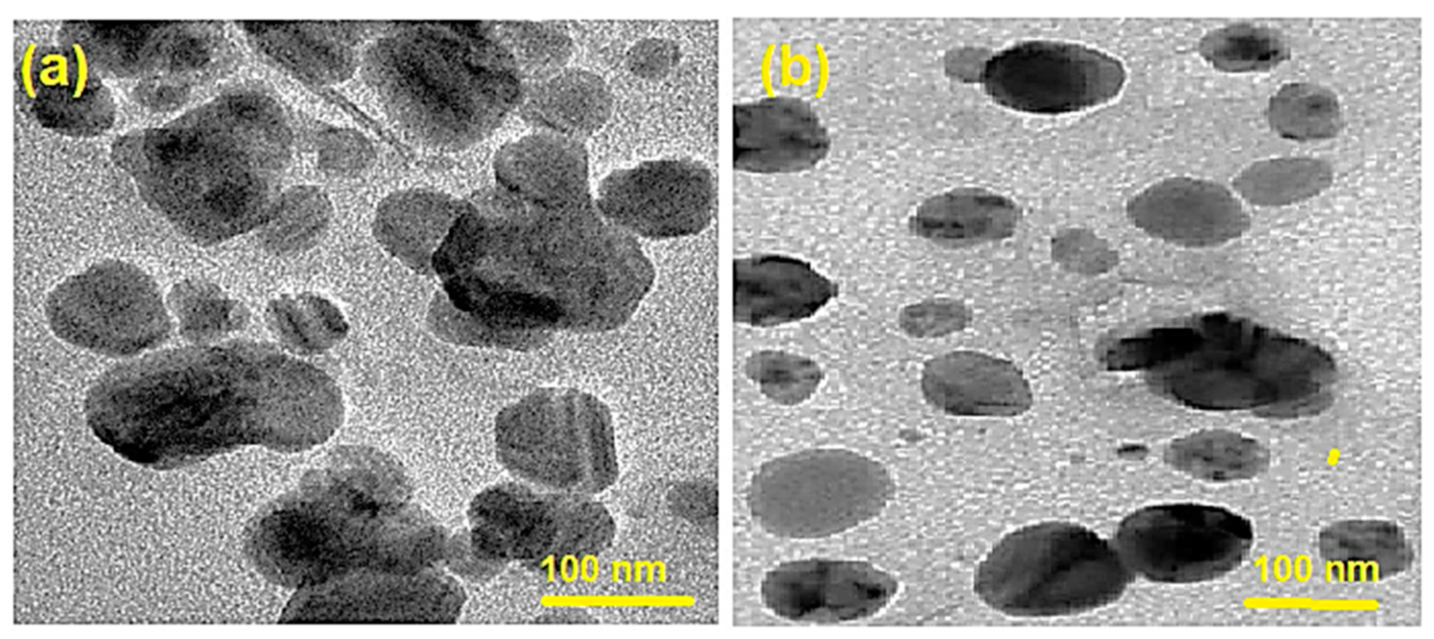 Molecules 28 04146 g003 Molecules 28 04146 g003