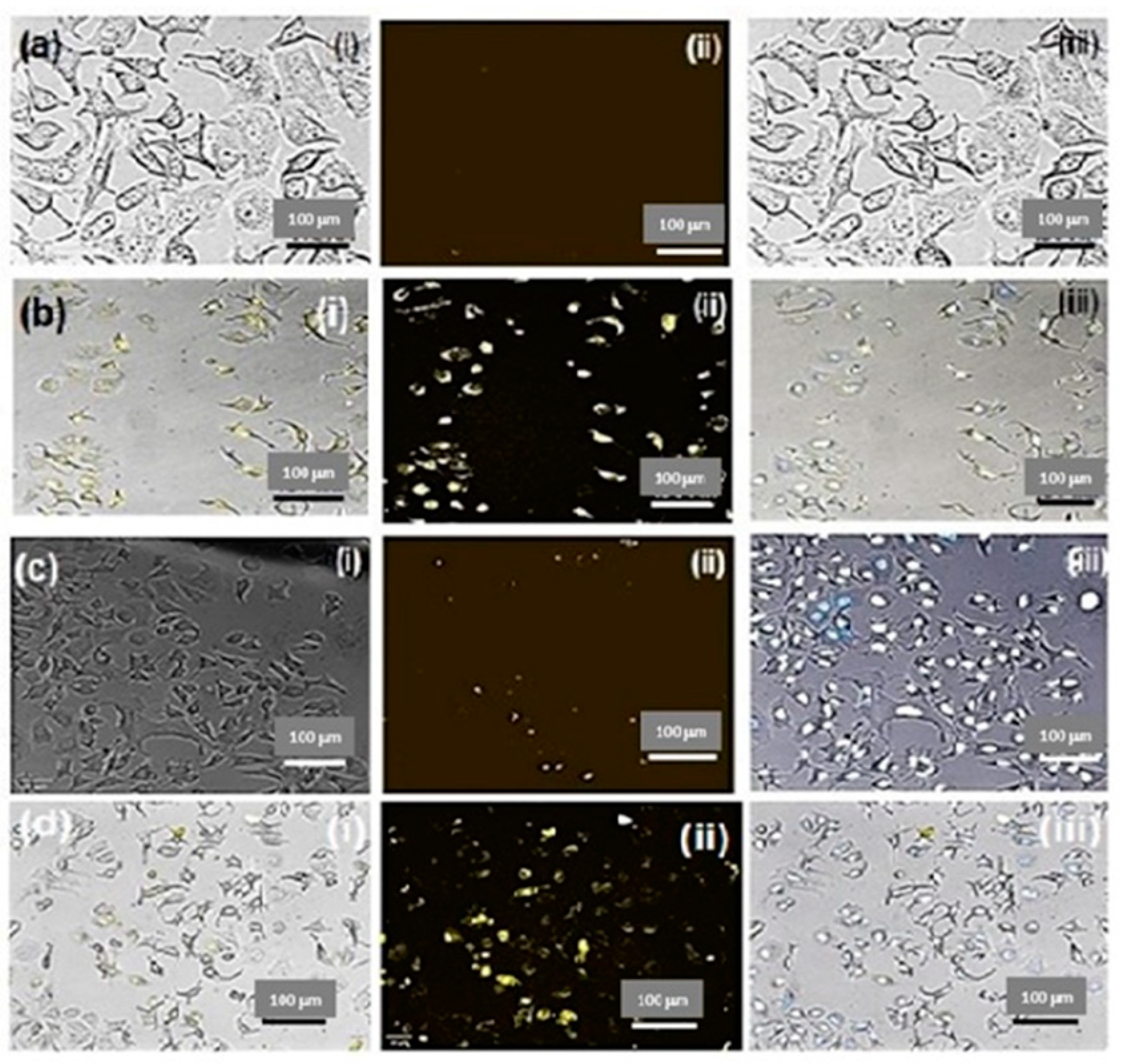 Molecules 28 04146 g007 Molecules 28 04146 g007