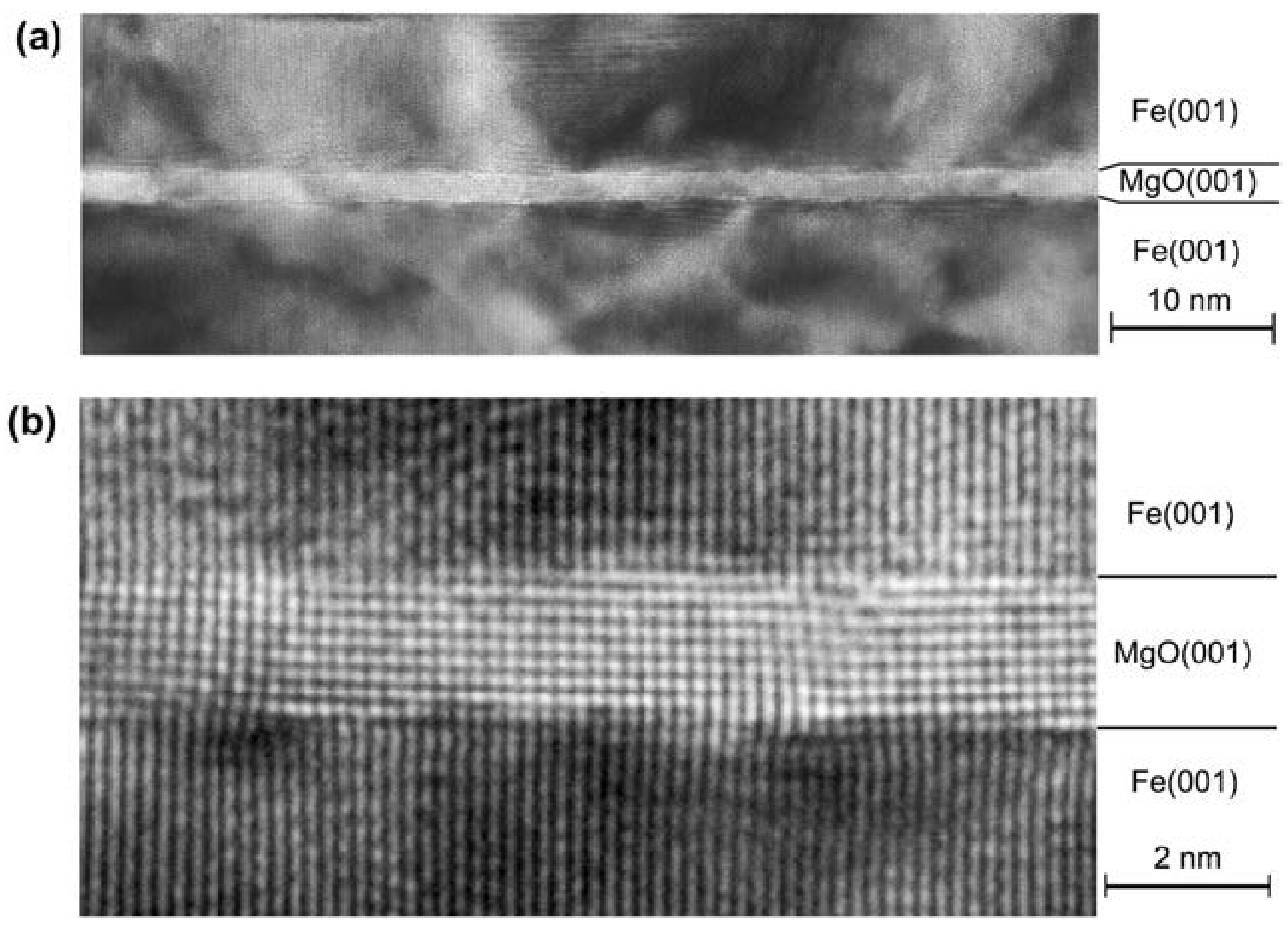 Molecules 28 04151 g002