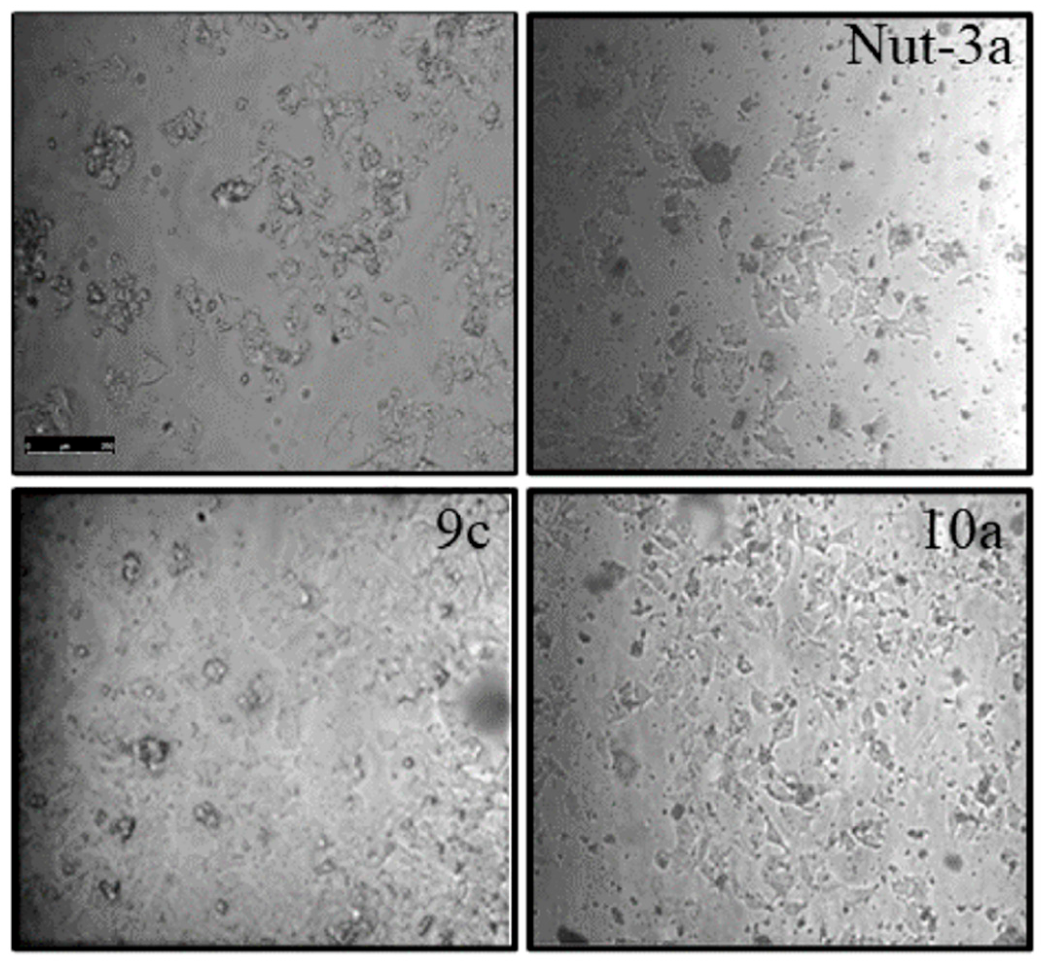 Molecules 28 04161 g004 Molecules 28 04161 g004