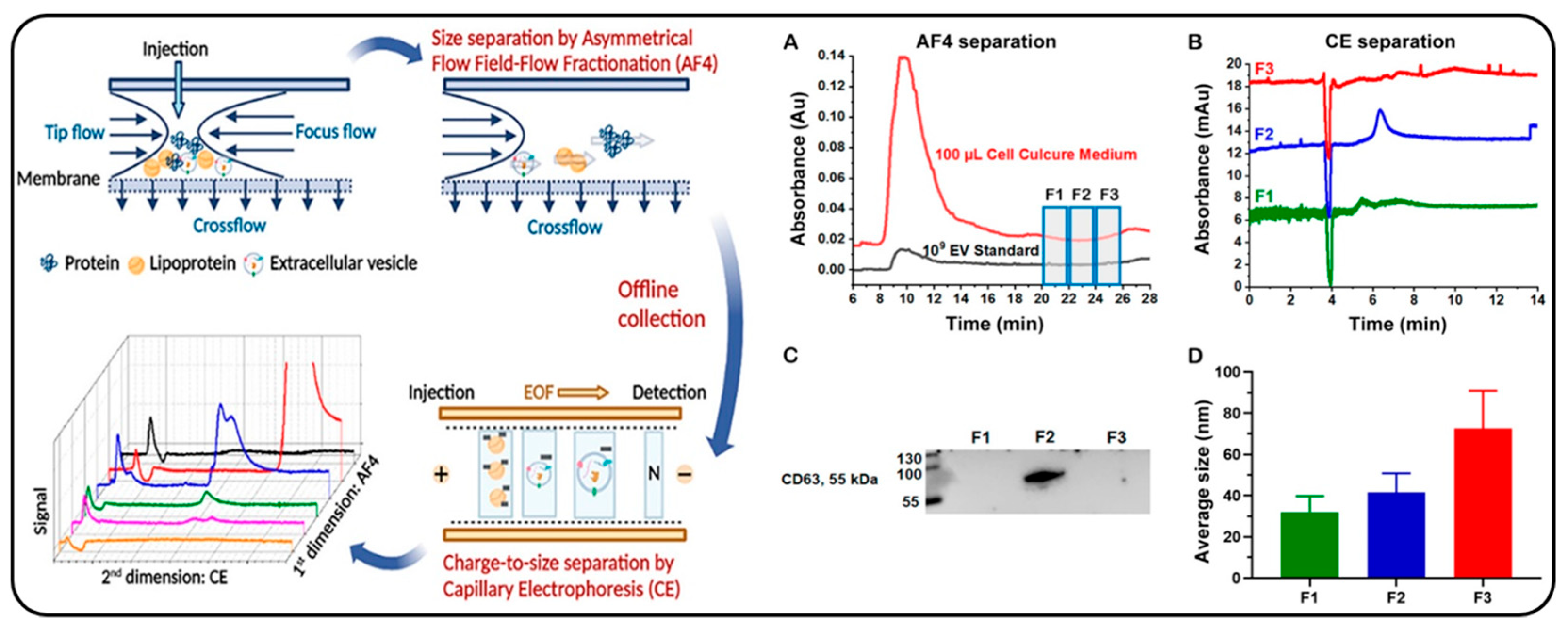 Molecules 28 04169 g011 Molecules 28 04169 g011
