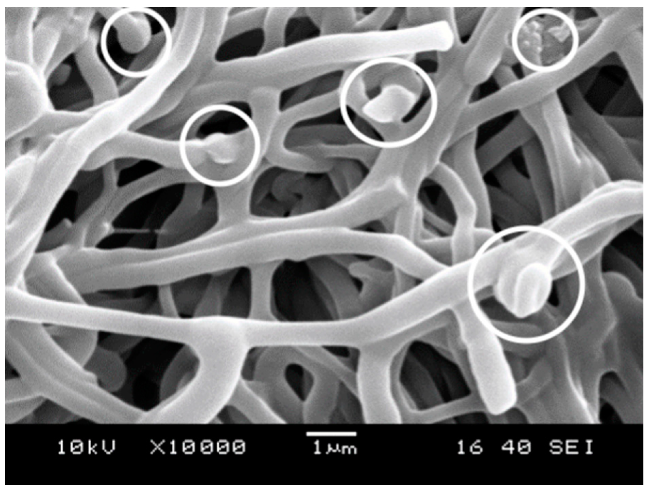 Molecules 28 04188 g007