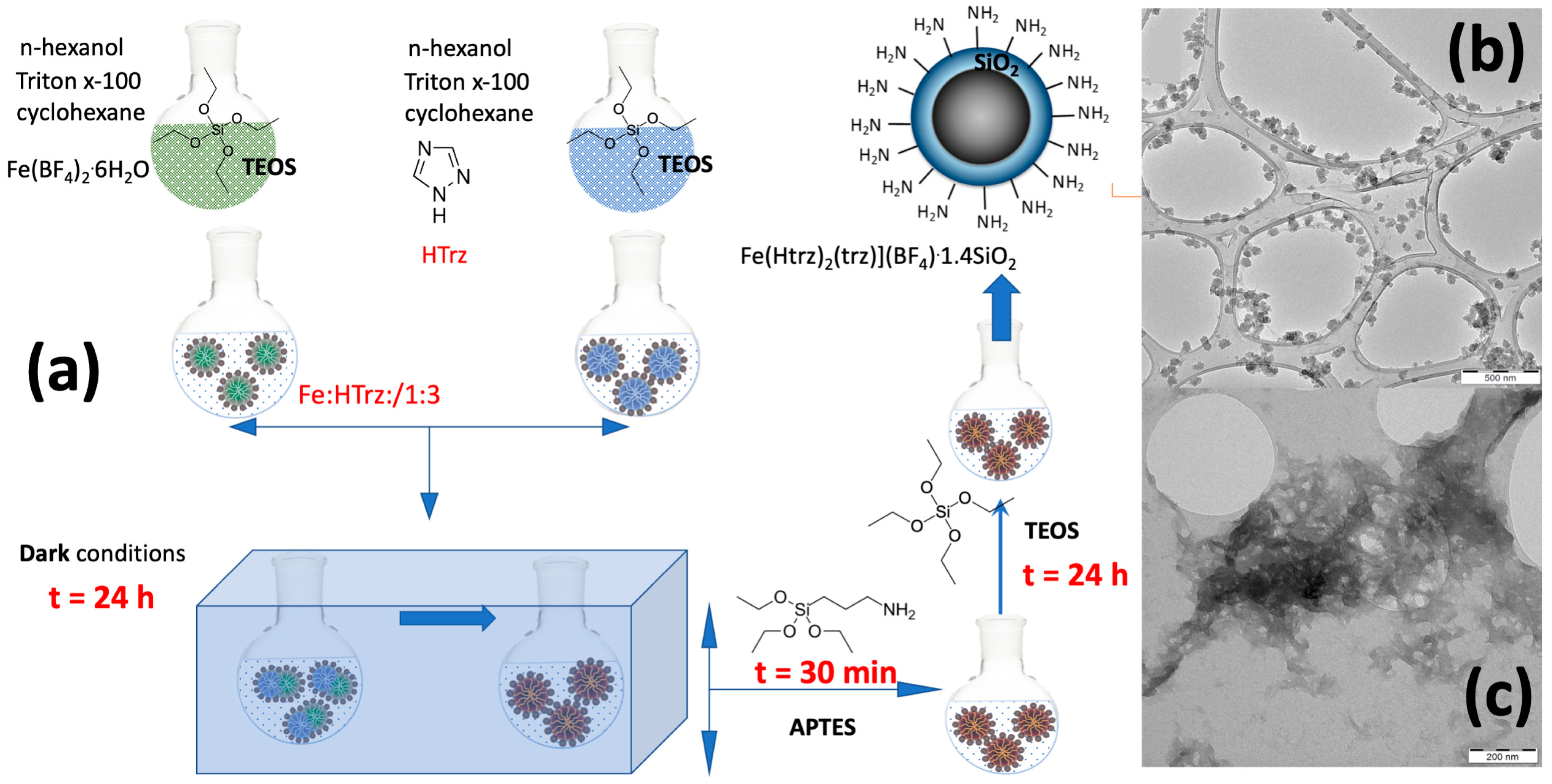 Molecules 28 04200 g001