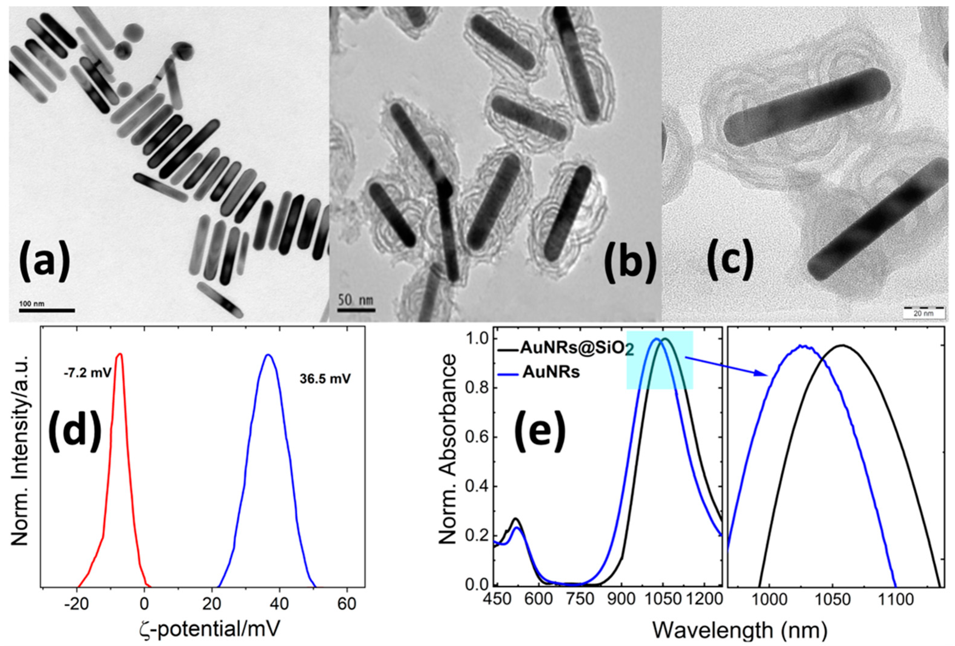 Molecules 28 04200 g002