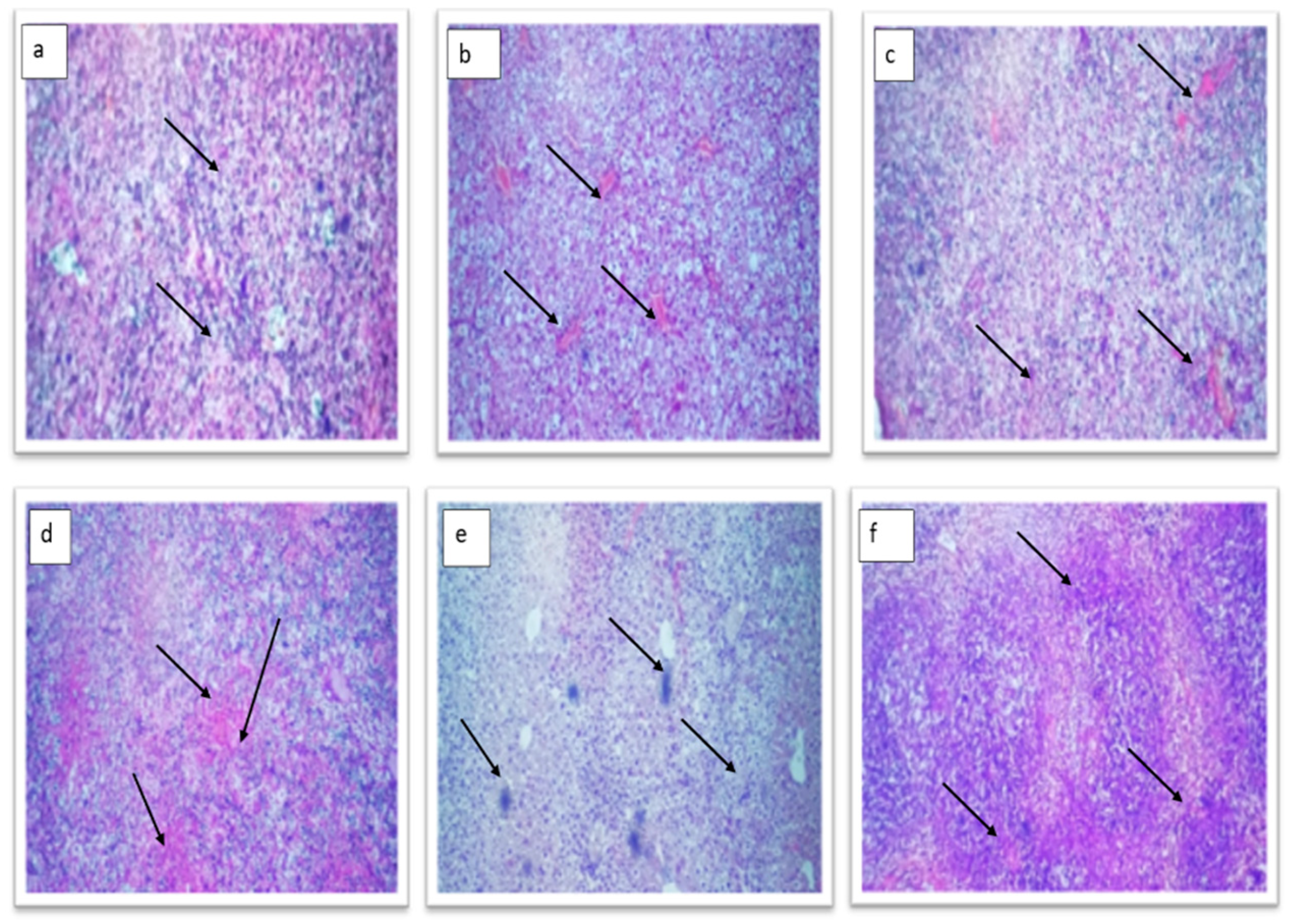Molecules 28 04203 g011