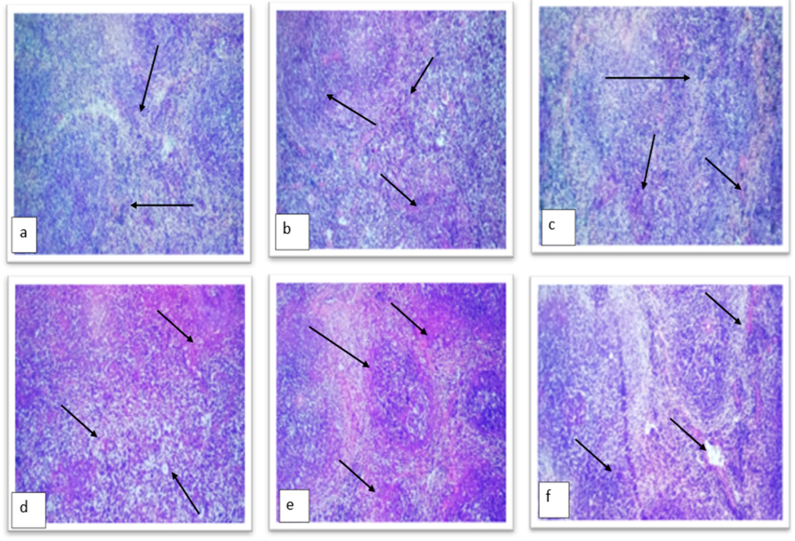Molecules 28 04203 g012