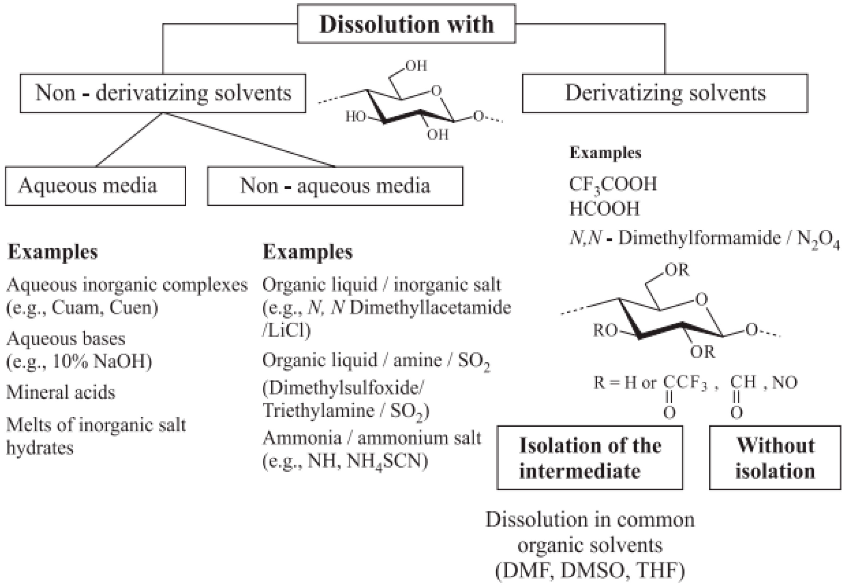 Molecules 28 04216 g001 Molecules 28 04216 g001