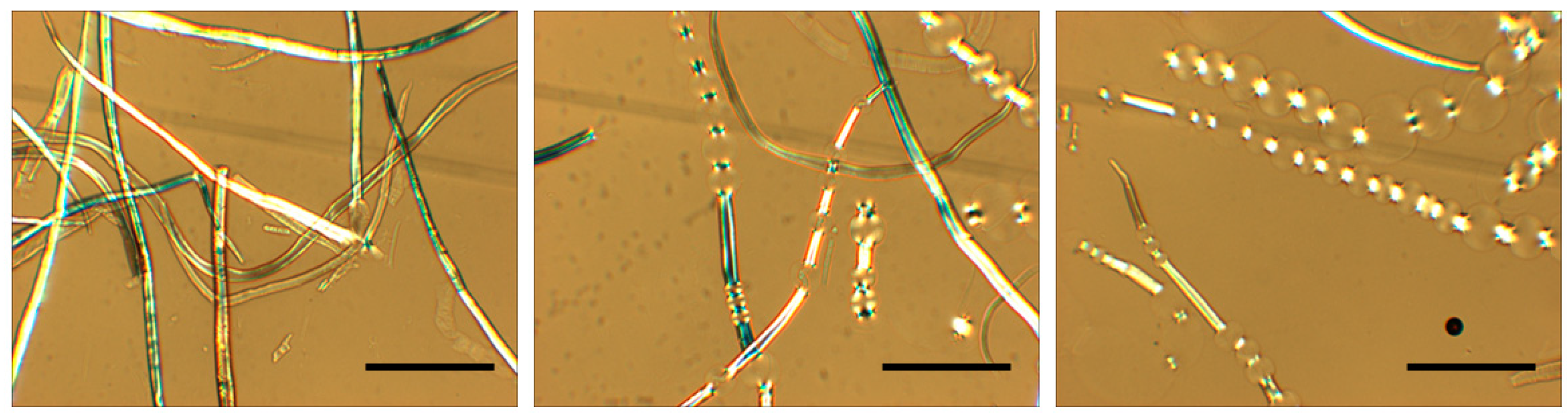 Molecules 28 04216 g002 Molecules 28 04216 g002