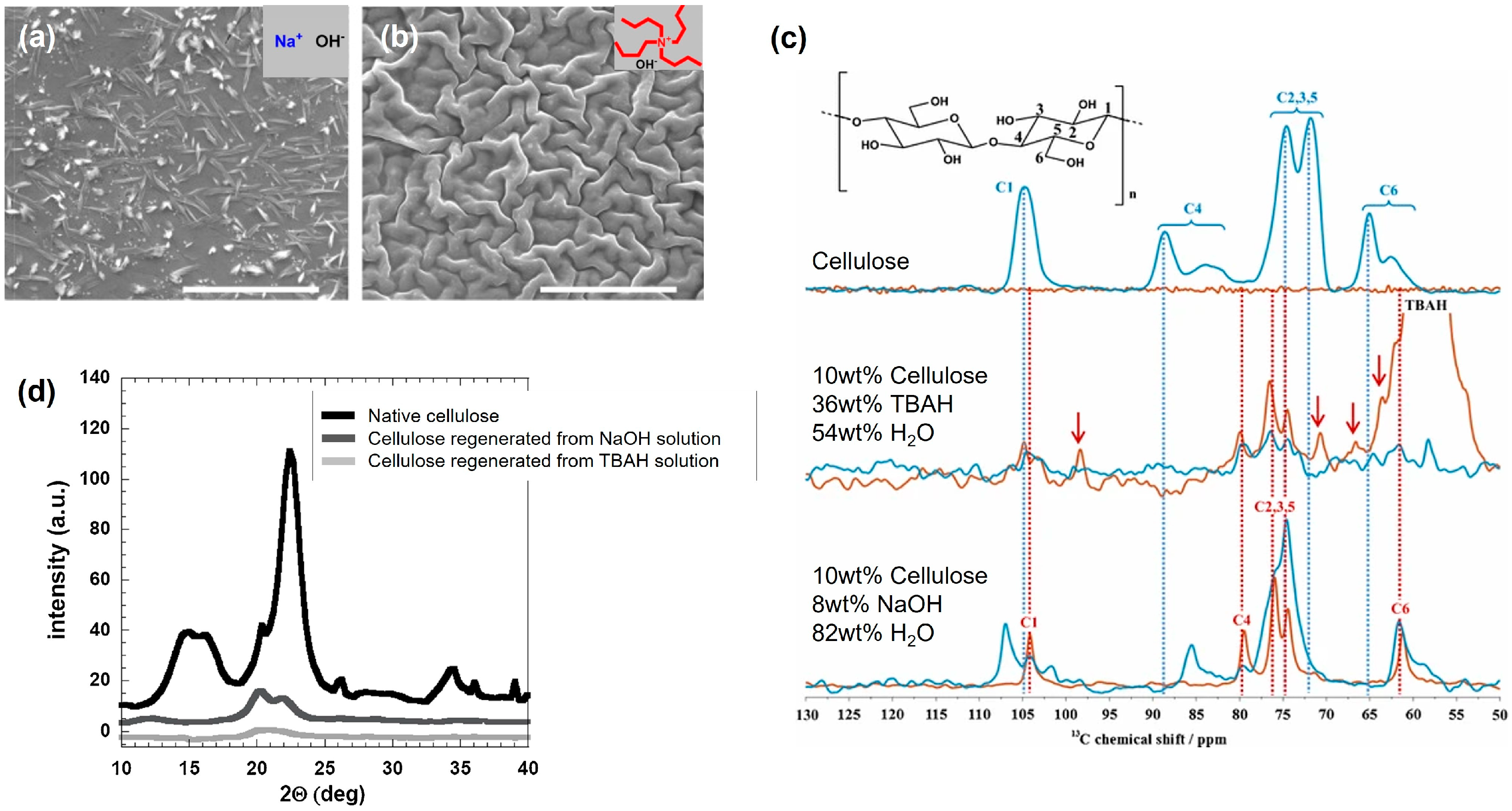 Molecules 28 04216 g004 Molecules 28 04216 g004