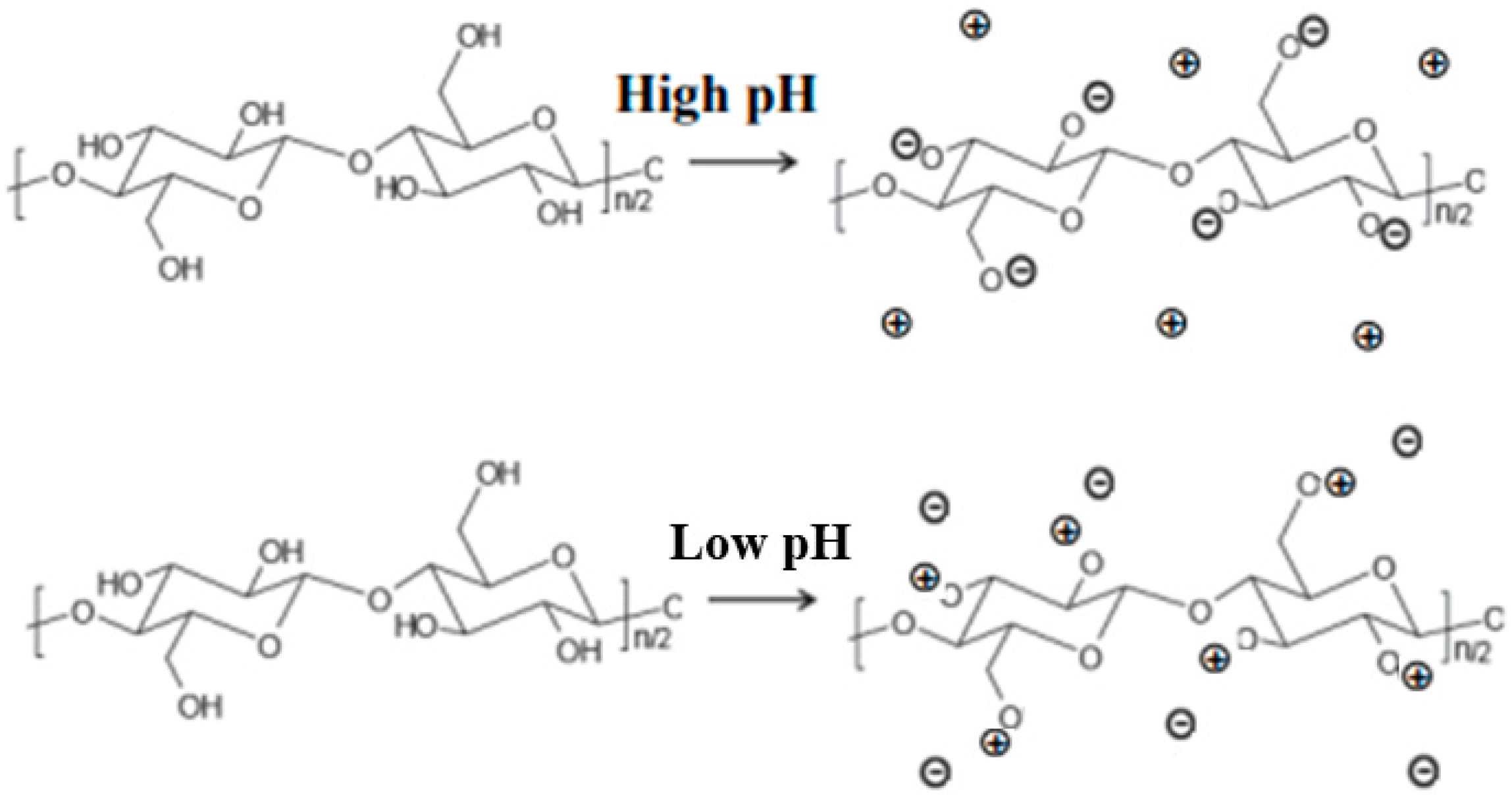 Molecules 28 04216 g005 Molecules 28 04216 g005