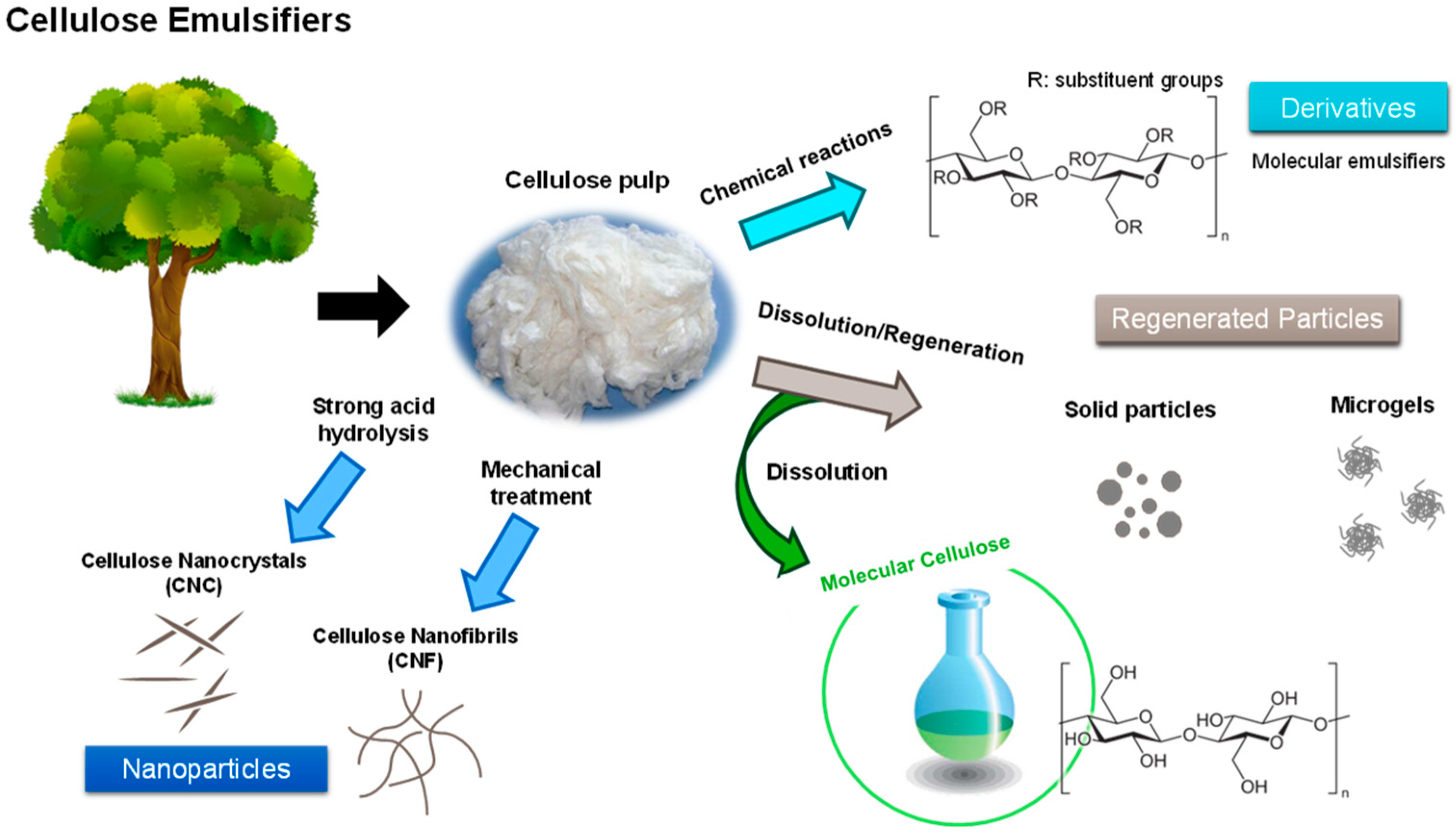 Molecules 28 04216 g006 Molecules 28 04216 g006