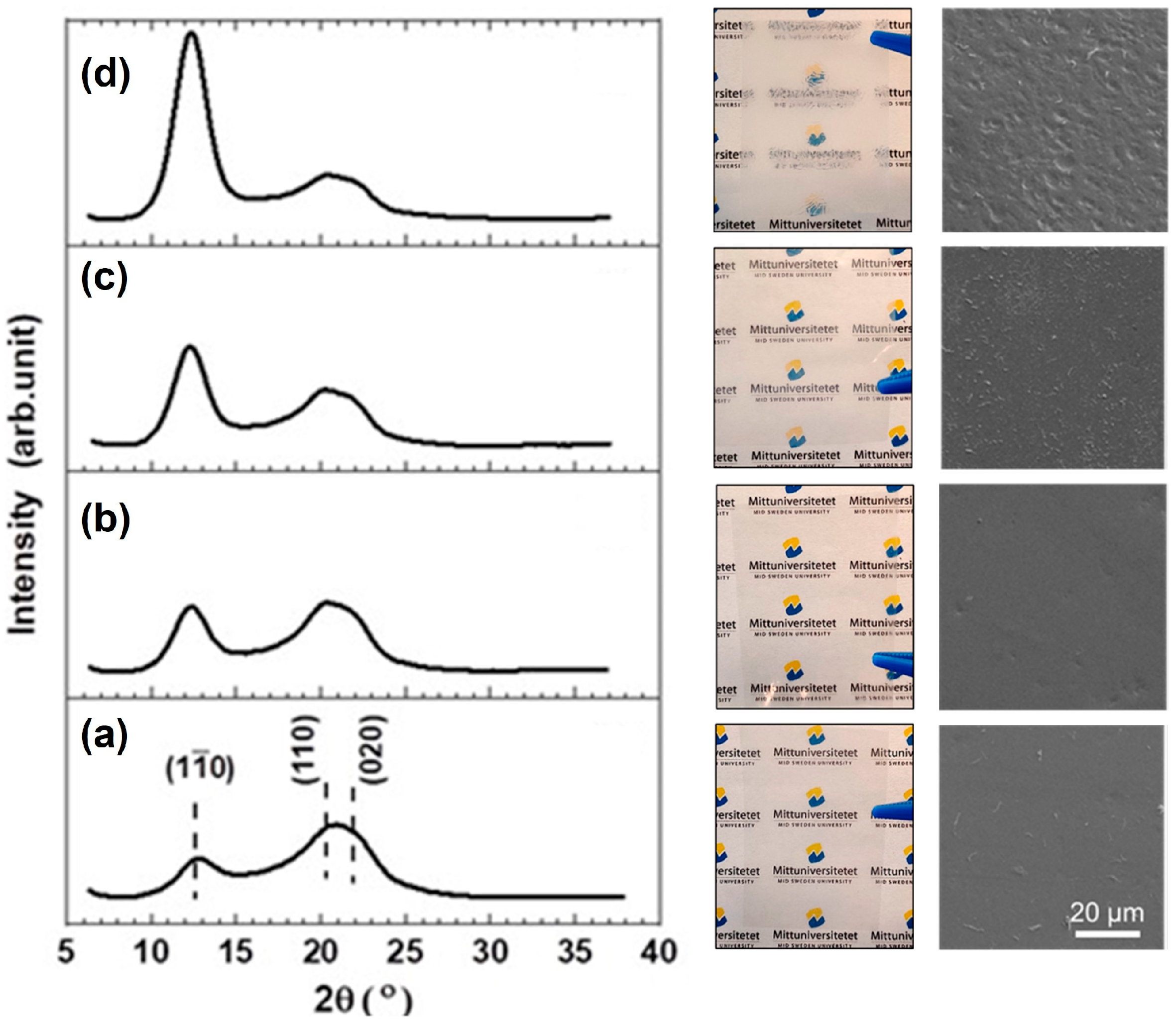 Molecules 28 04216 g007 Molecules 28 04216 g007
