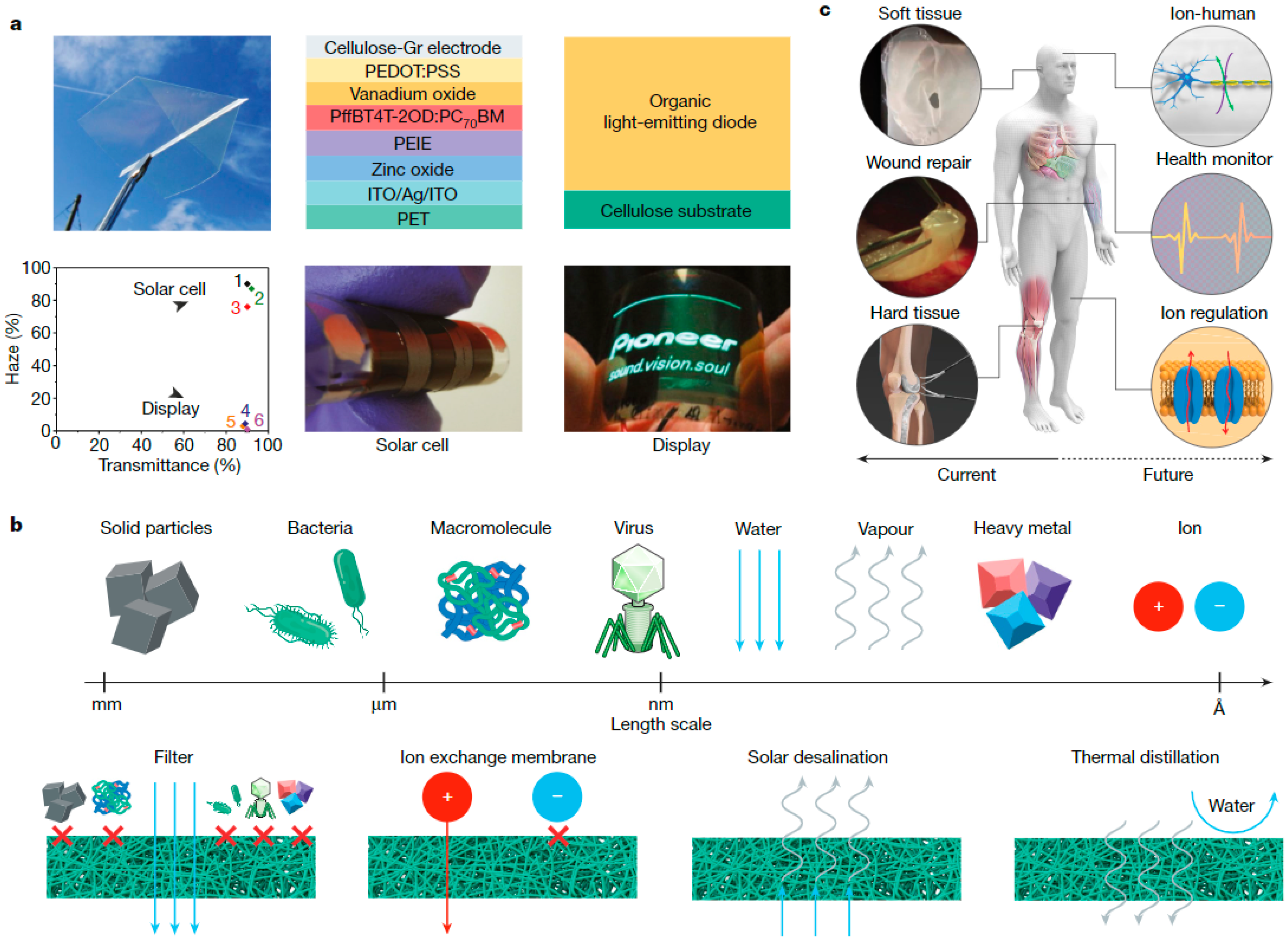 Molecules 28 04216 g008 Molecules 28 04216 g008