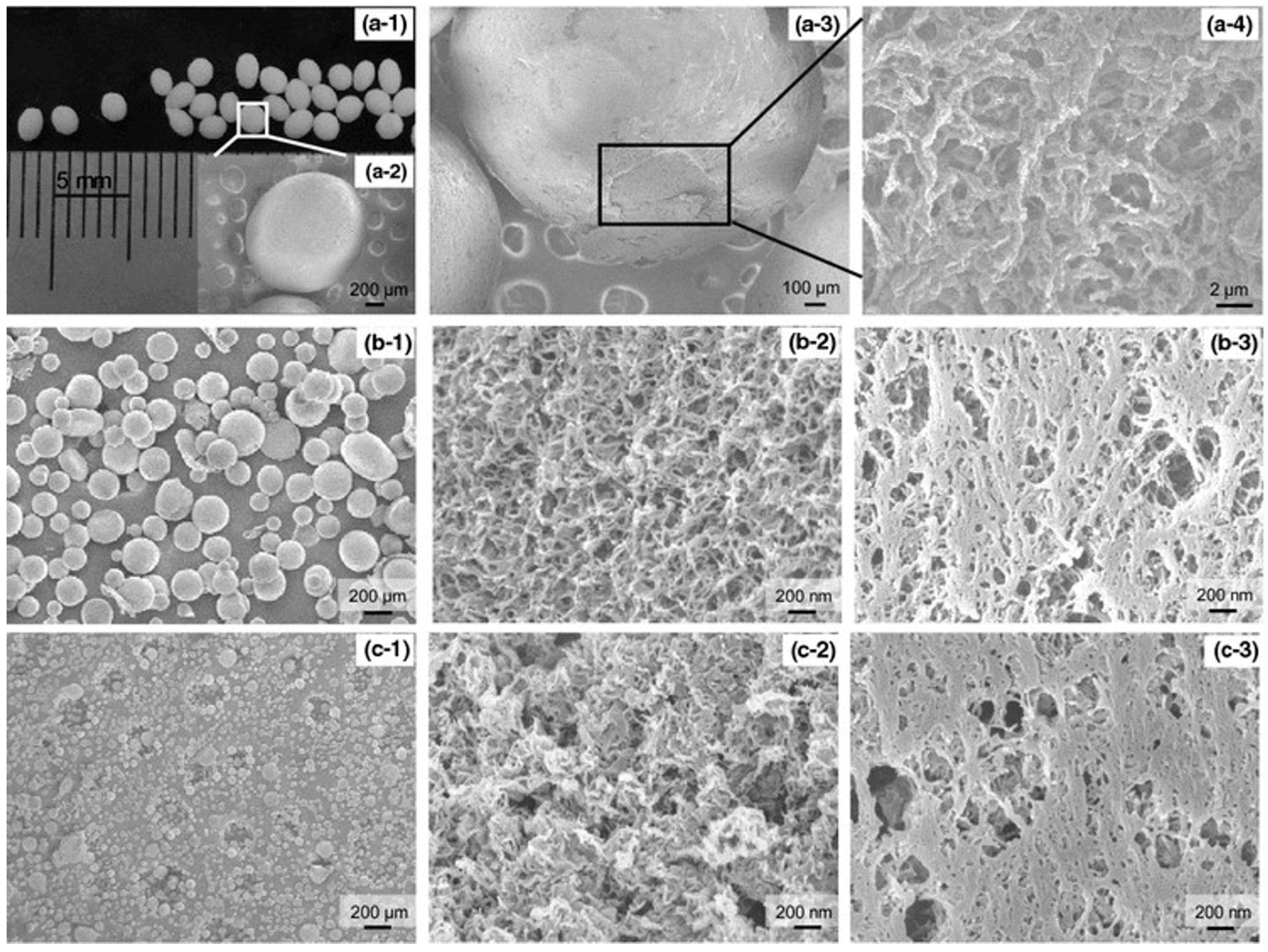 Molecules 28 04216 g009 Molecules 28 04216 g009