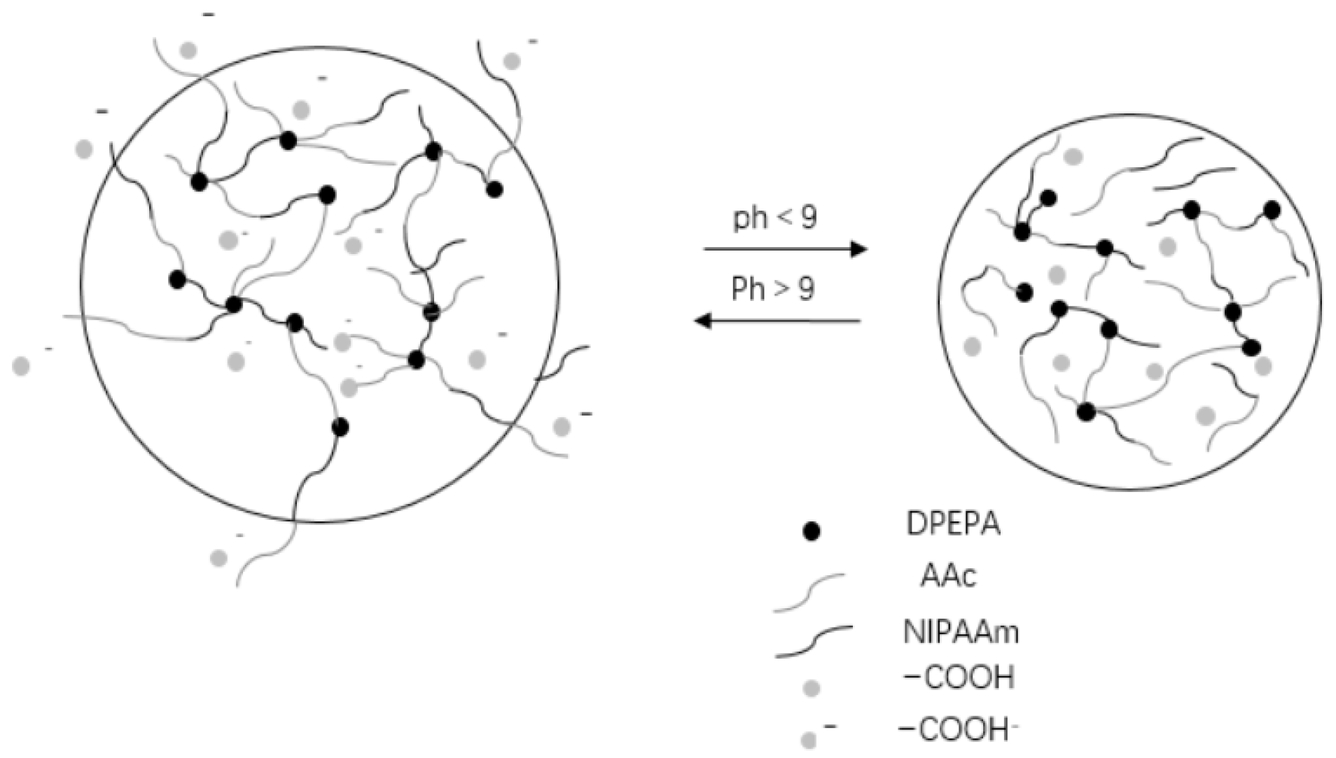 Molecules 28 04246 g021 Molecules 28 04246 g021