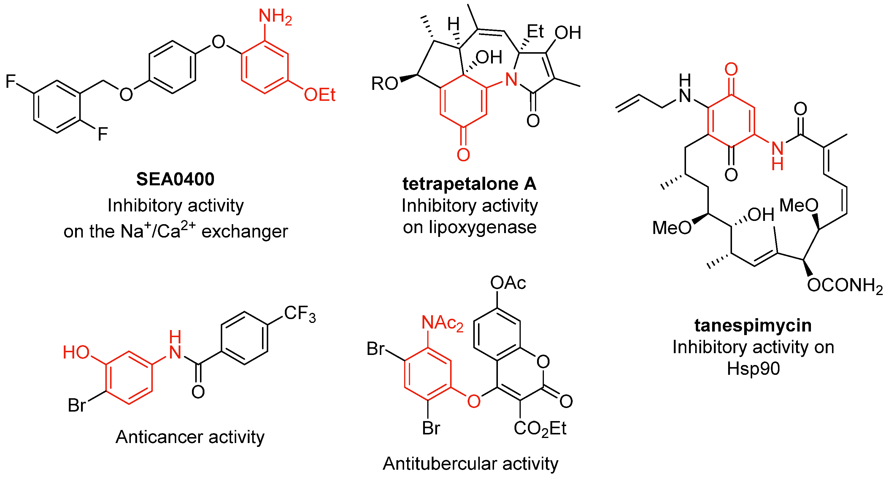 Molecules 28 04251 g001 Molecules 28 04251 g001