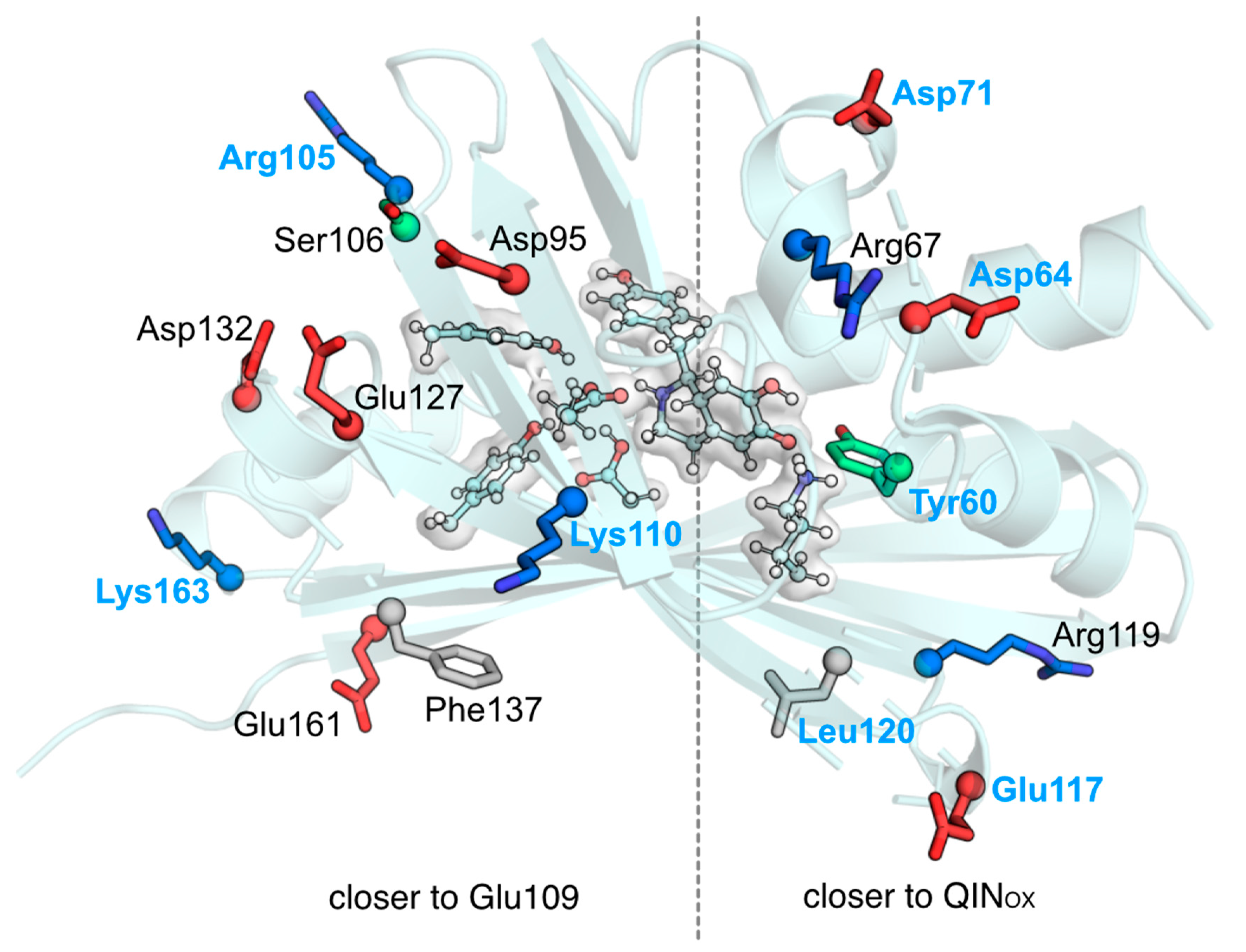 Molecules 28 04265 g004b