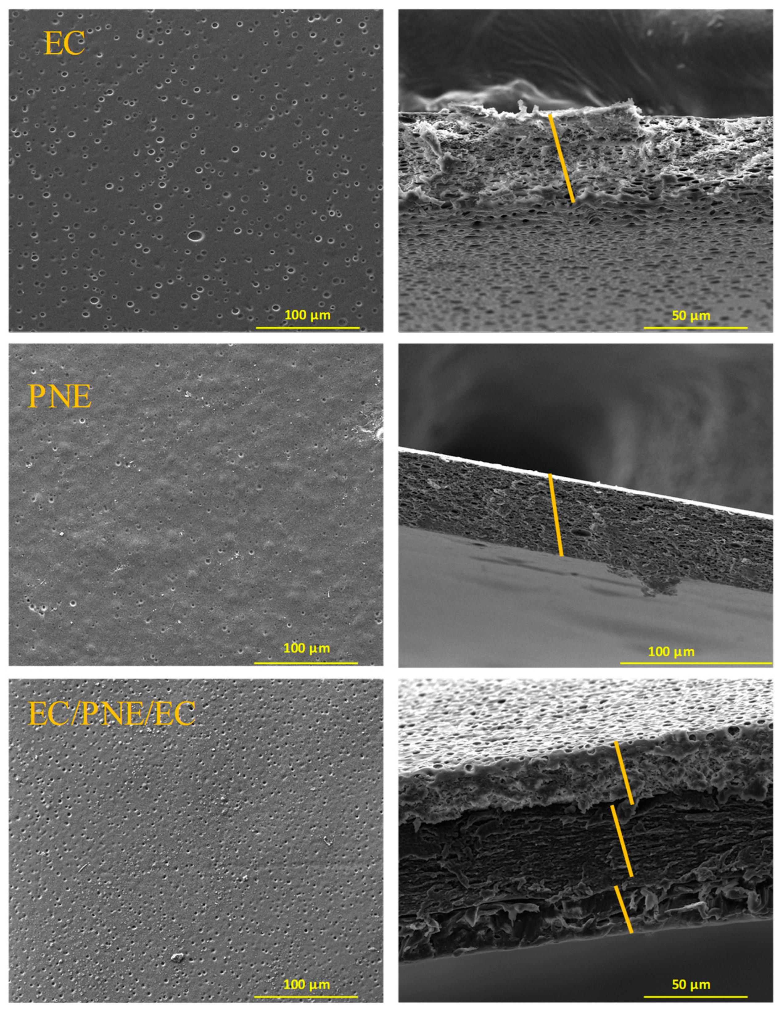 Molecules 28 04274 g001 Molecules 28 04274 g001