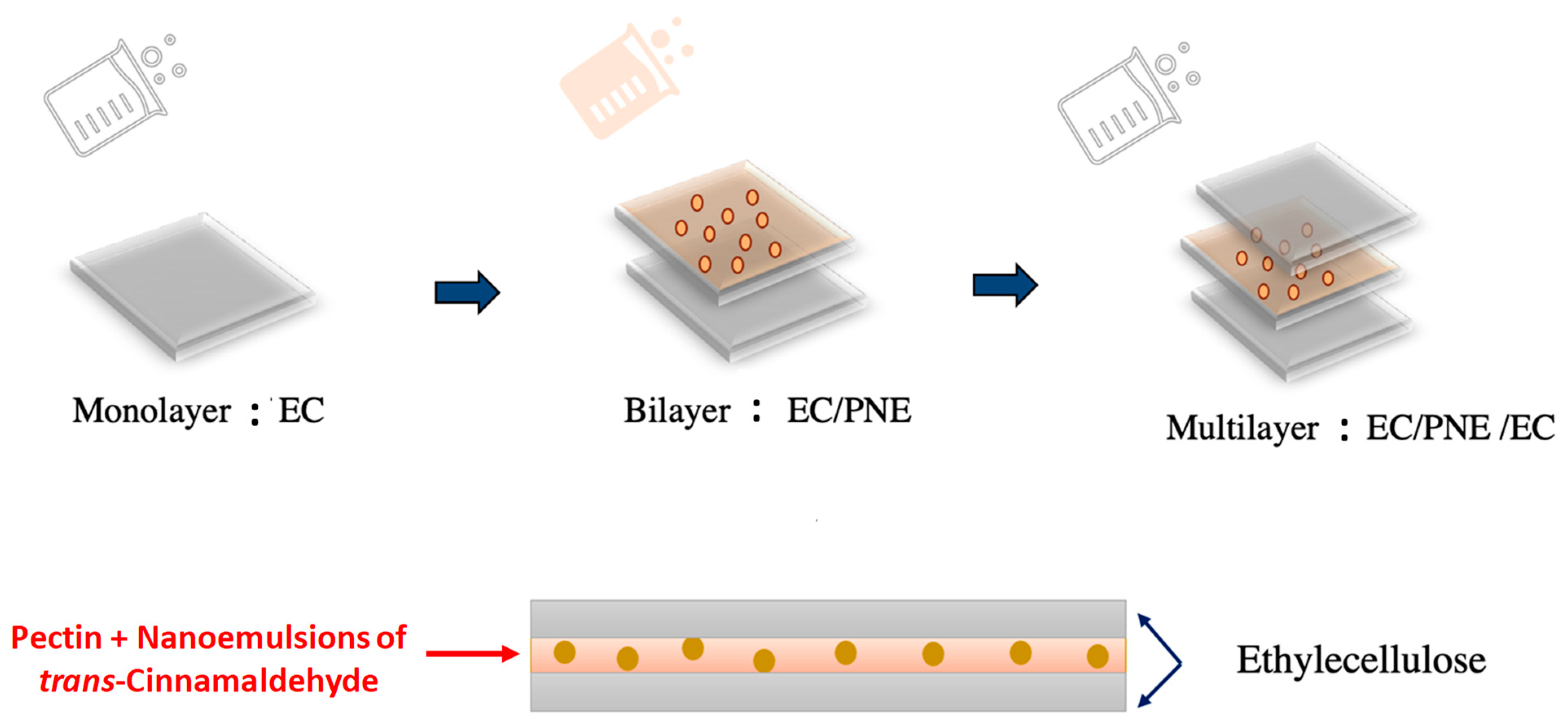 Molecules 28 04274 g006 Molecules 28 04274 g006