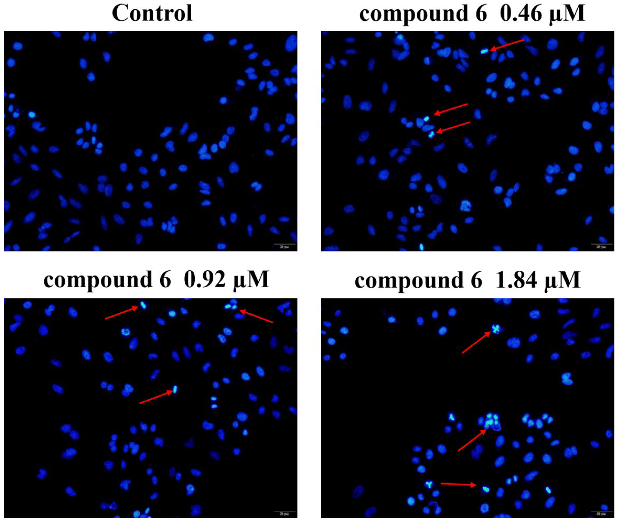 Molecules 28 04284 g003