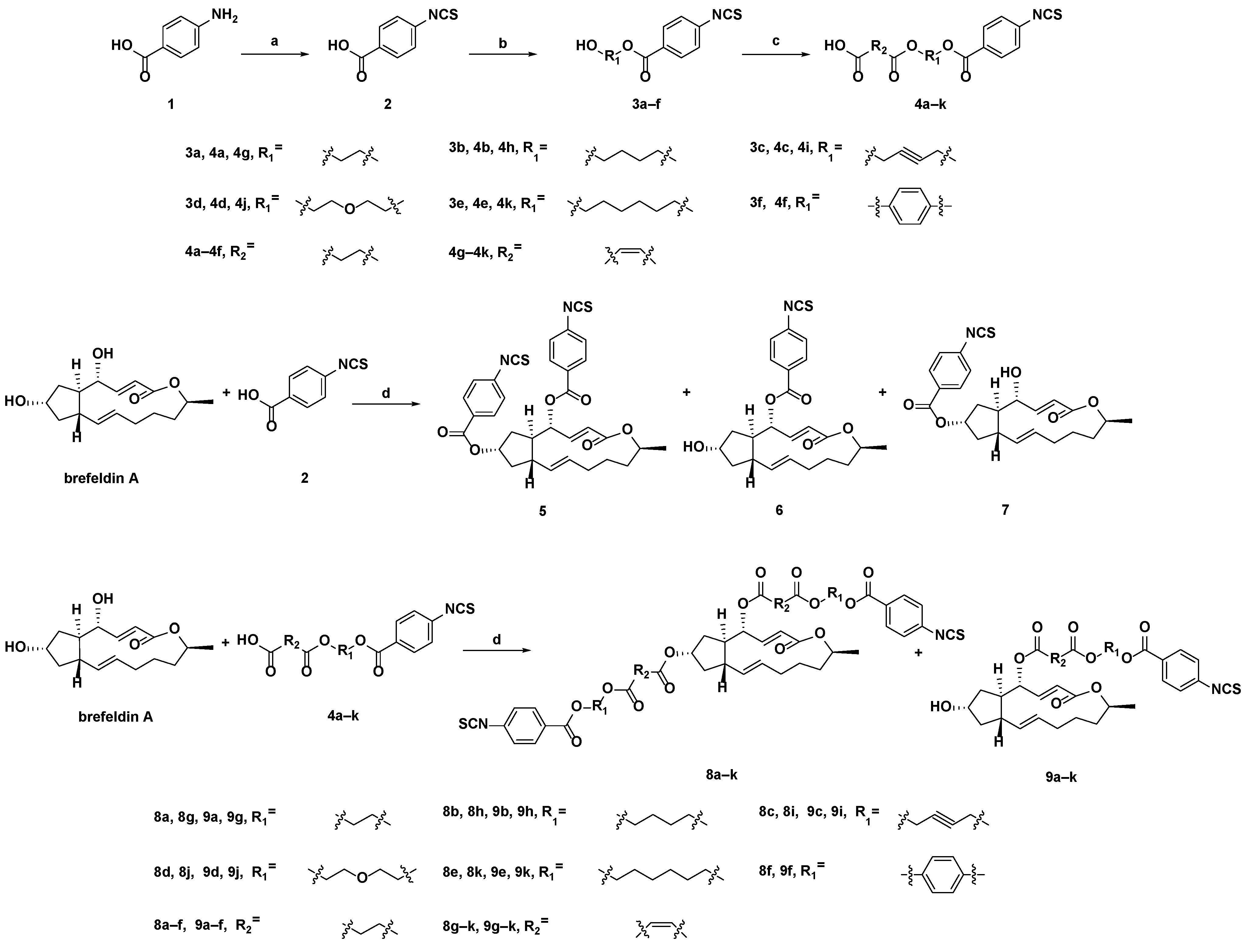 Molecules 28 04284 sch001