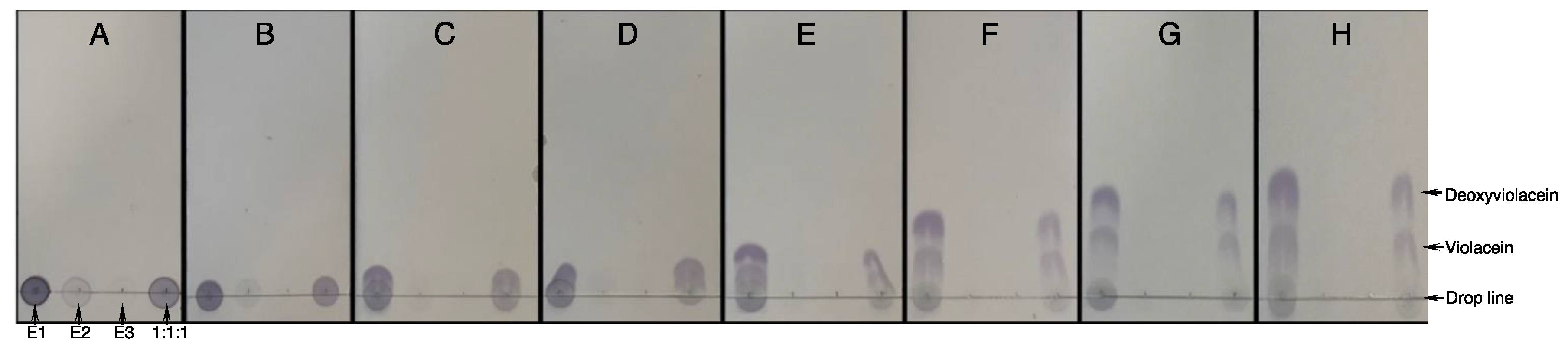 Molecules 28 04292 g002