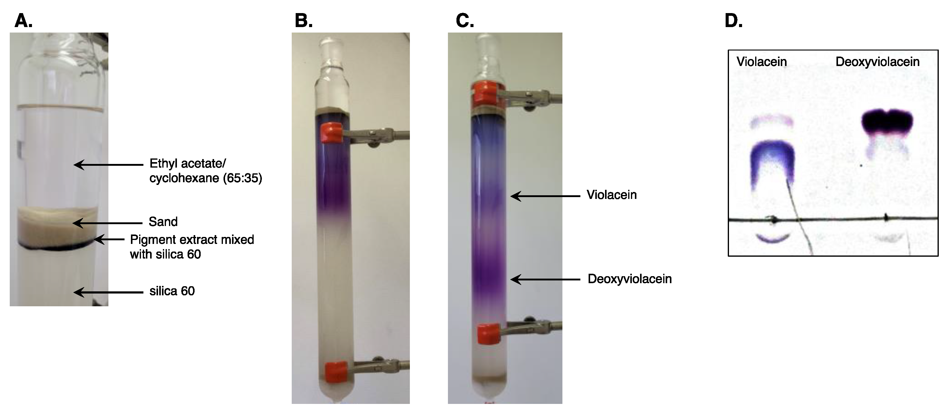 Molecules 28 04292 g003