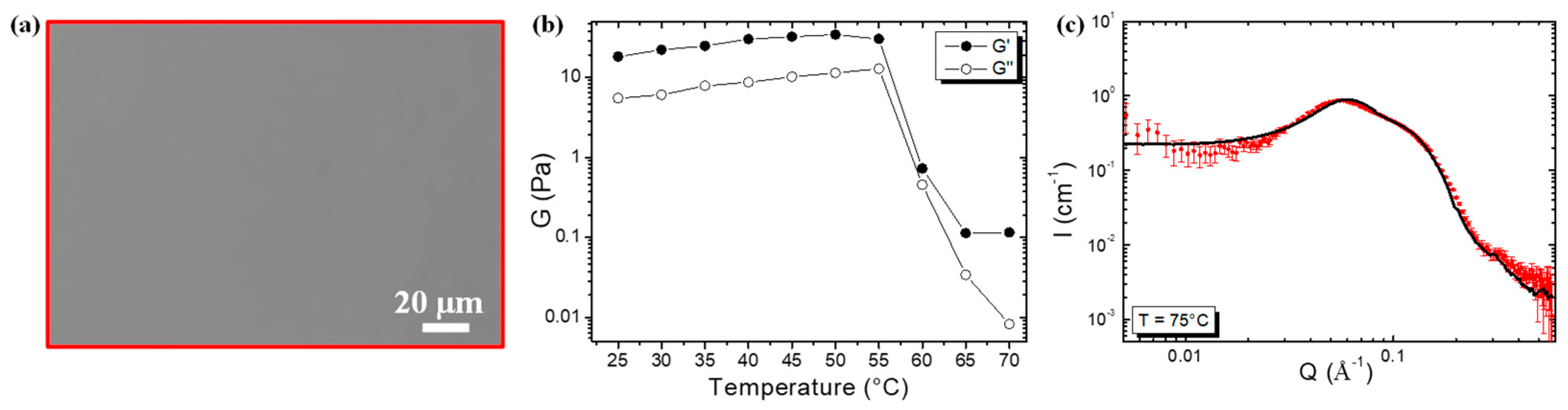 Molecules 28 04295 g003 Molecules 28 04295 g003