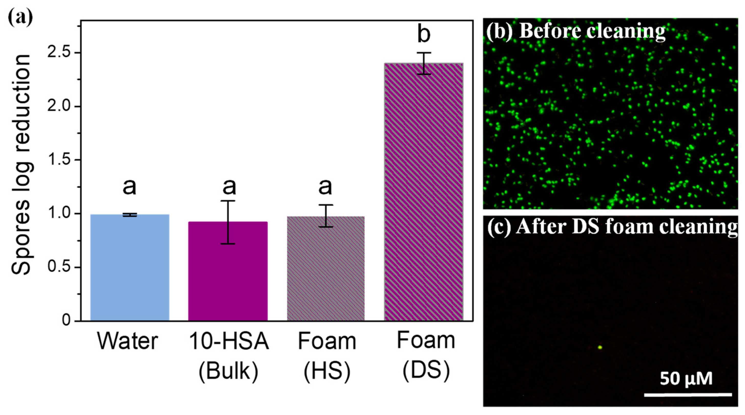 Molecules 28 04295 g005 Molecules 28 04295 g005