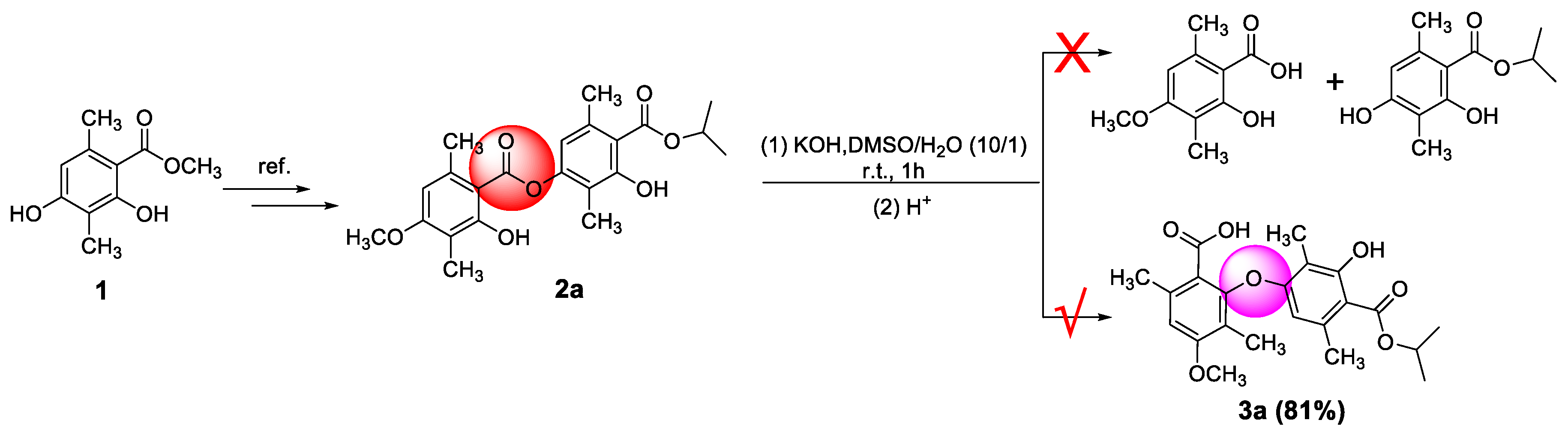 Molecules 28 04303 g002 Molecules 28 04303 g002