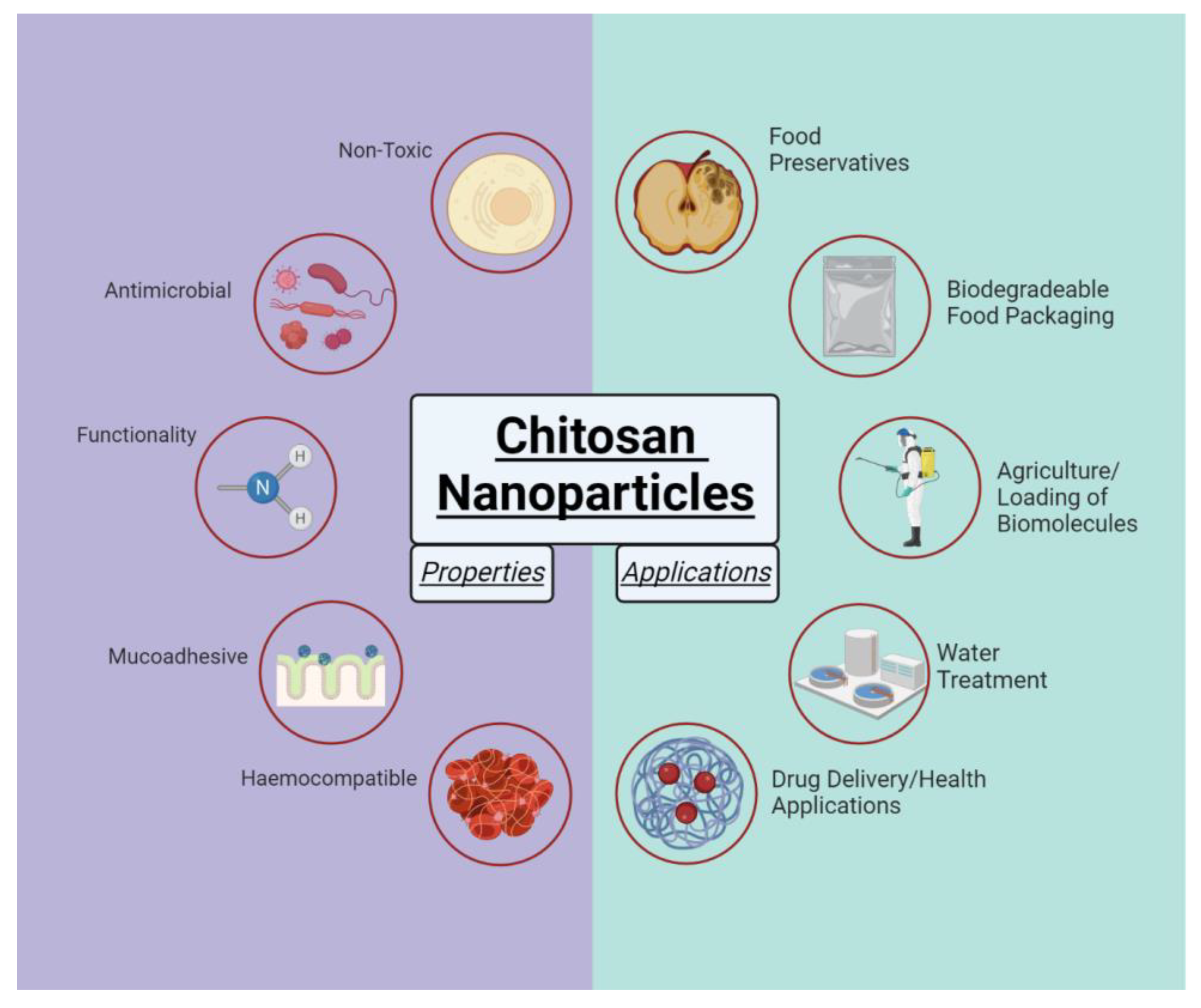 Chitosan for nanoparticles