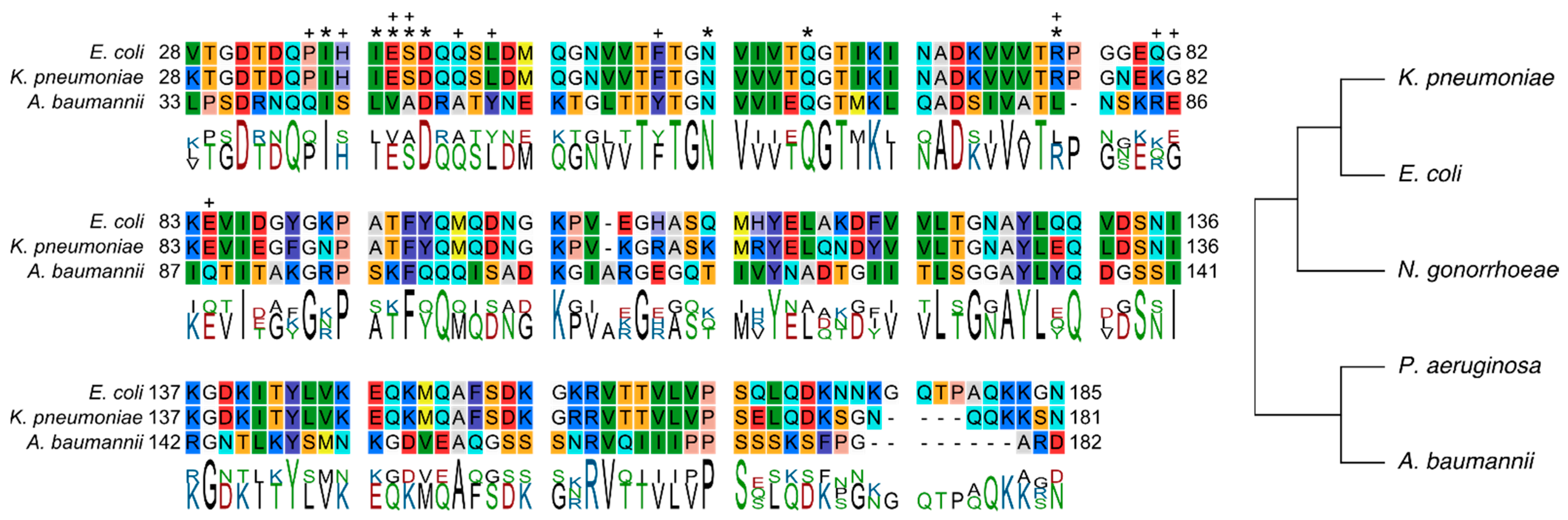 Molecules 28 04335 g006