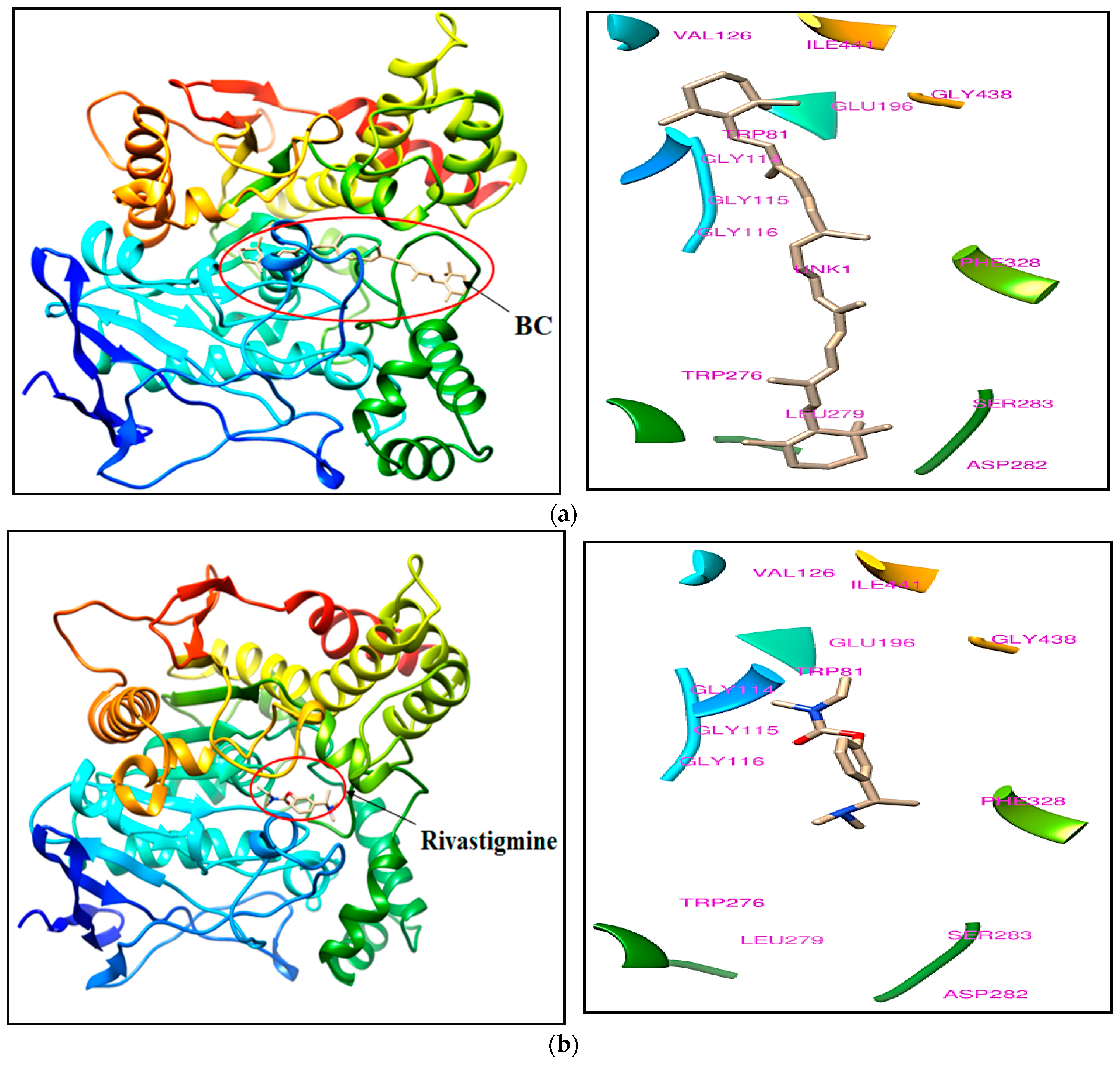 Molecules 28 04358 g001