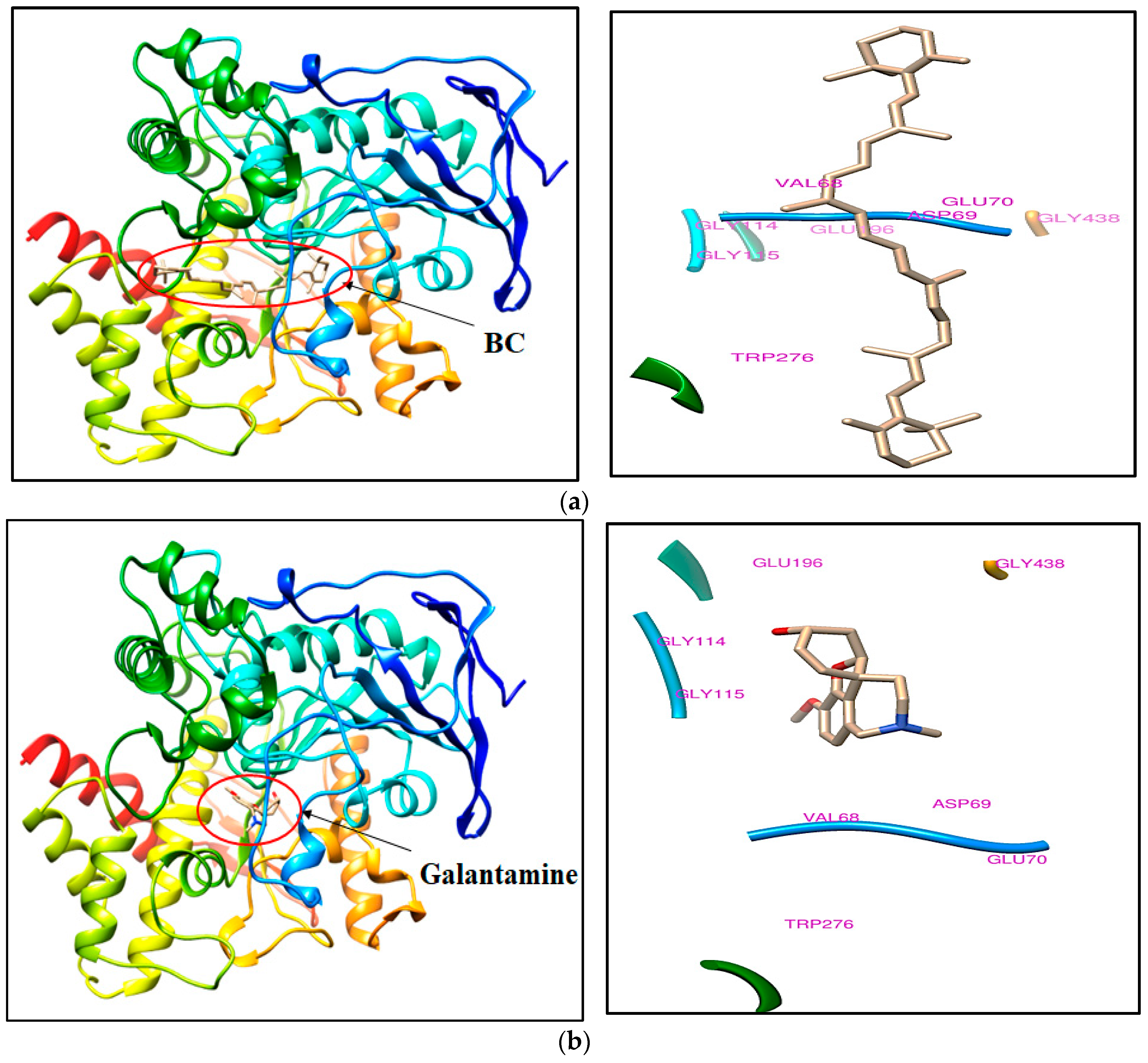 Molecules 28 04358 g002