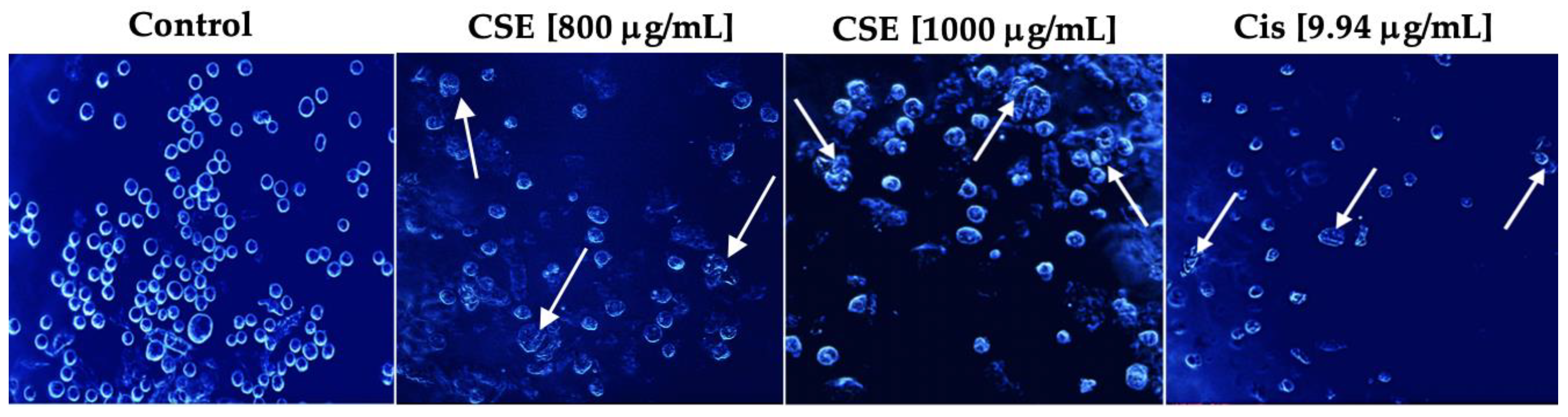 Molecules 28 04361 g007 Molecules 28 04361 g007