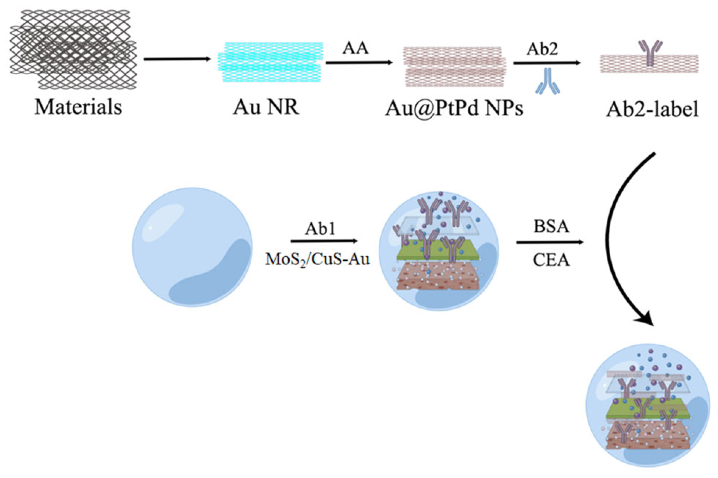Molecules 28 04370 g002