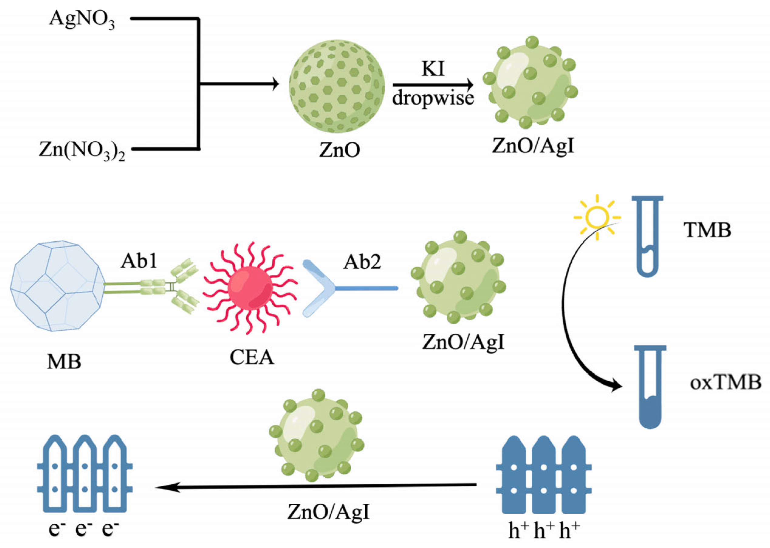 Molecules 28 04370 g006