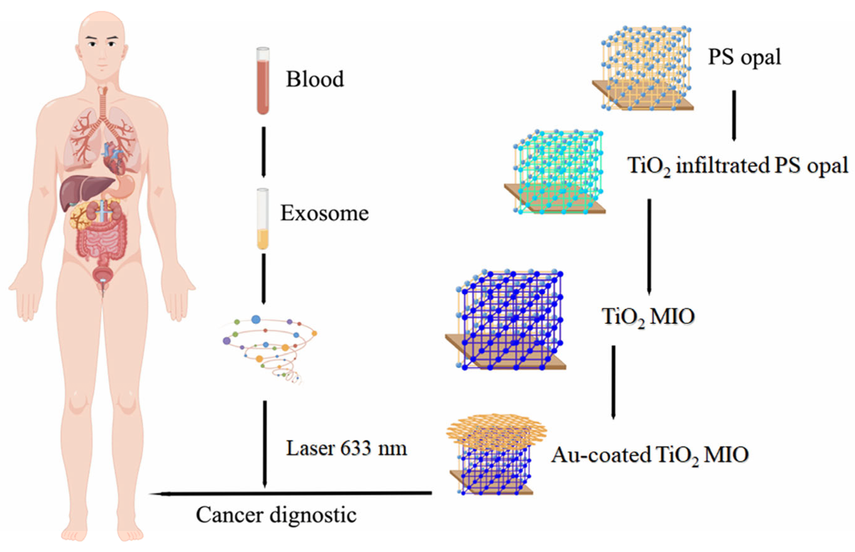 Molecules 28 04370 g007