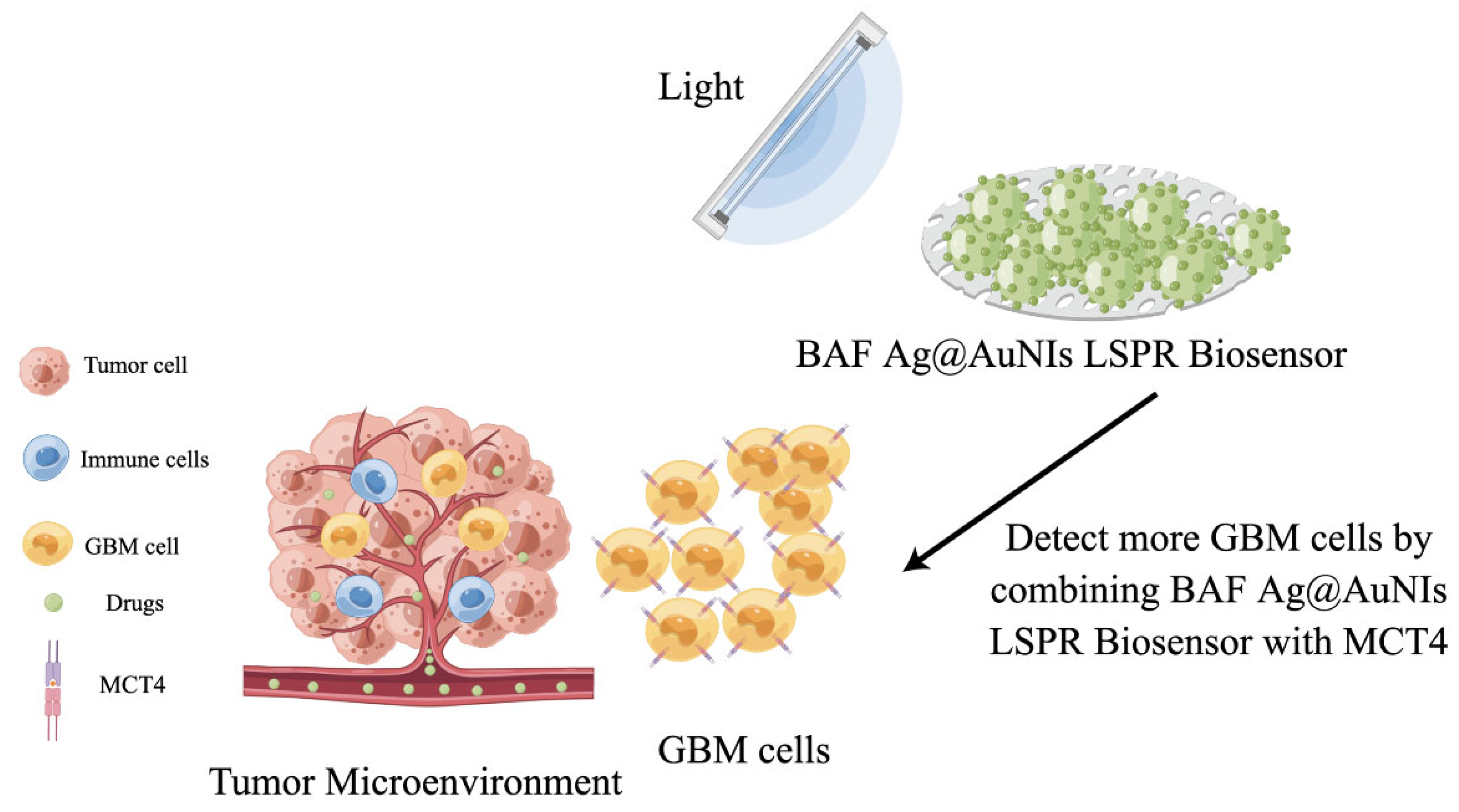 Molecules 28 04370 g008