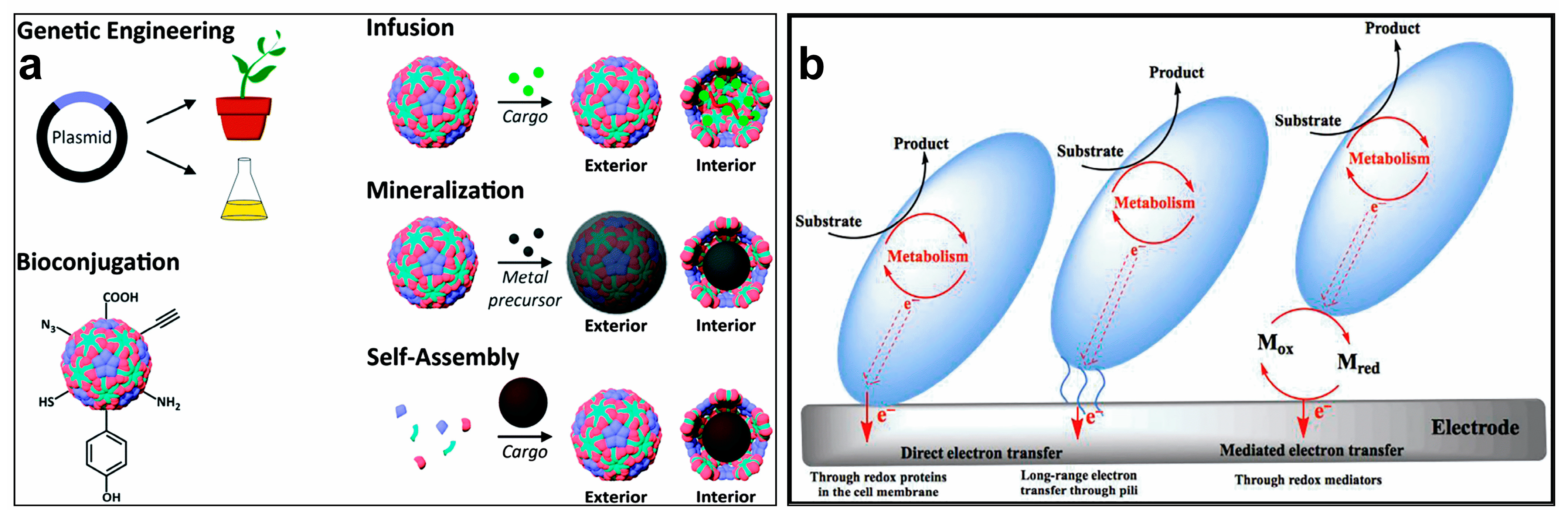 Molecules 28 04372 g001 Molecules 28 04372 g001