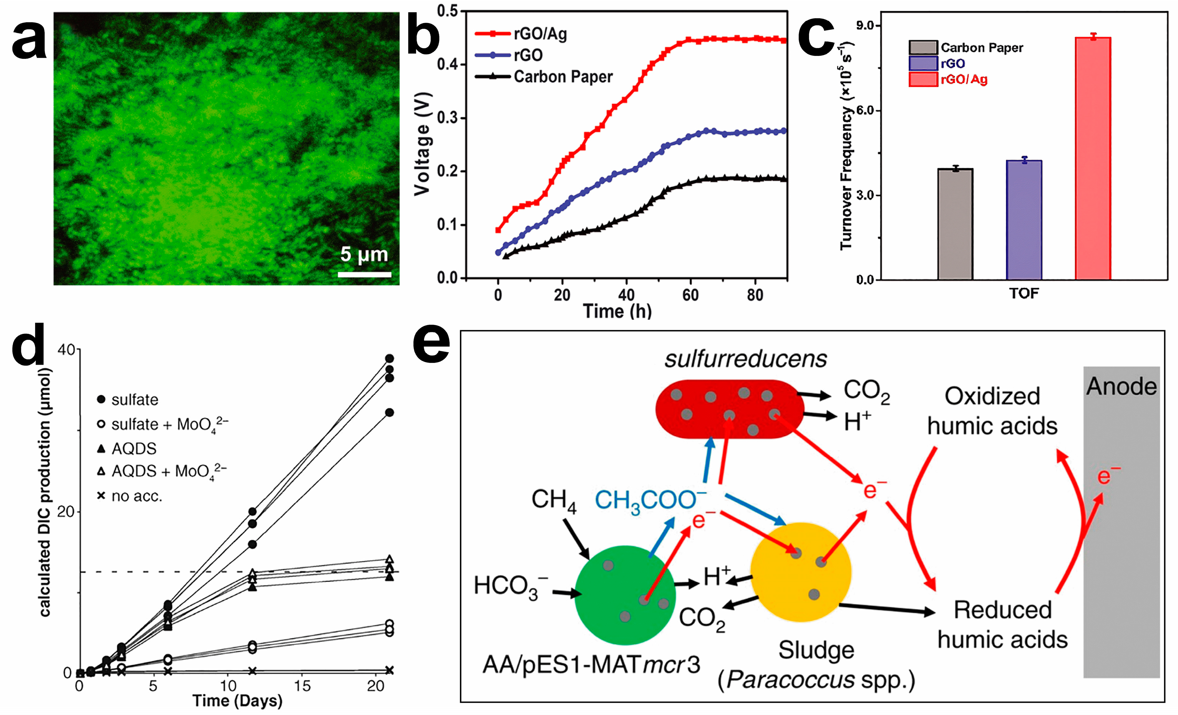 Molecules 28 04372 g007 Molecules 28 04372 g007