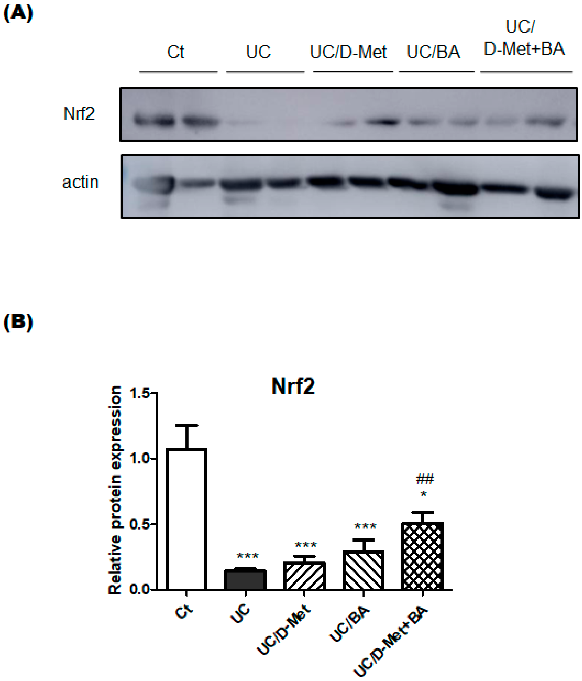 Molecules 28 04392 g006