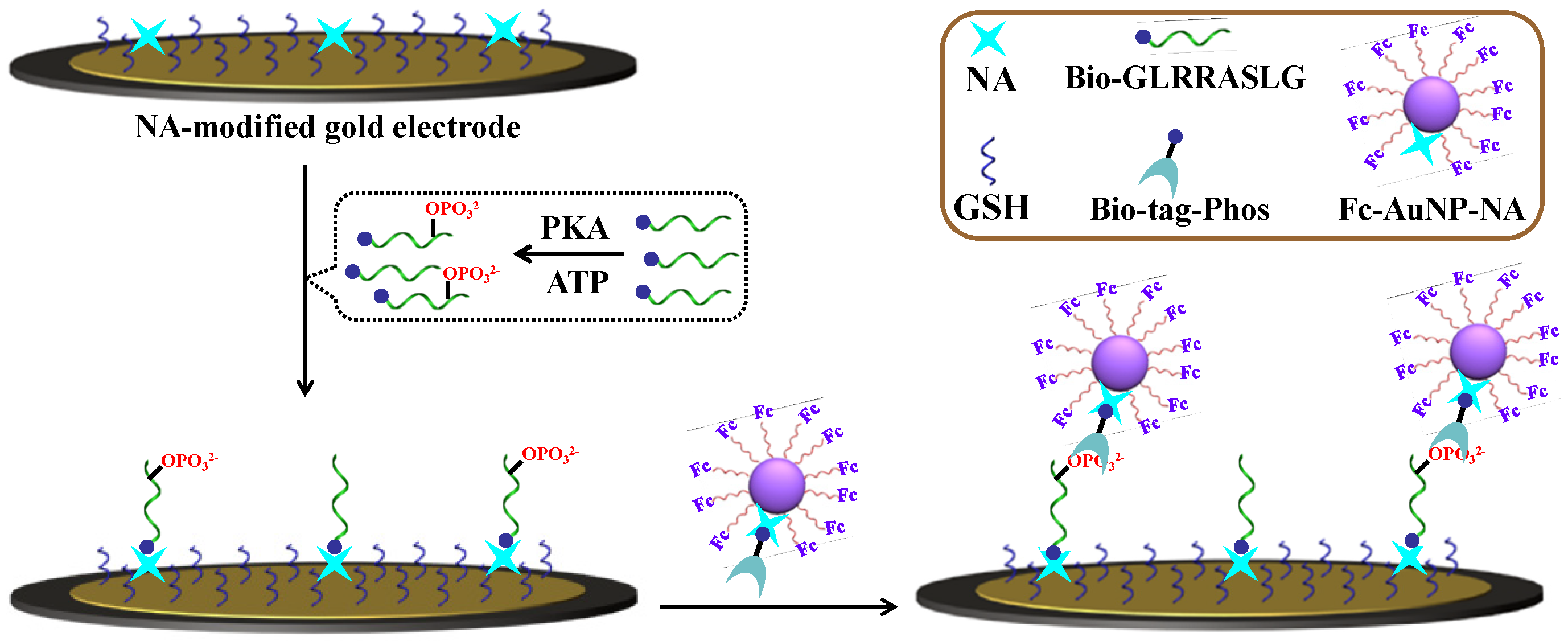 Molecules | Free Full-Text | Biosensors with Metal Ion&ndash 